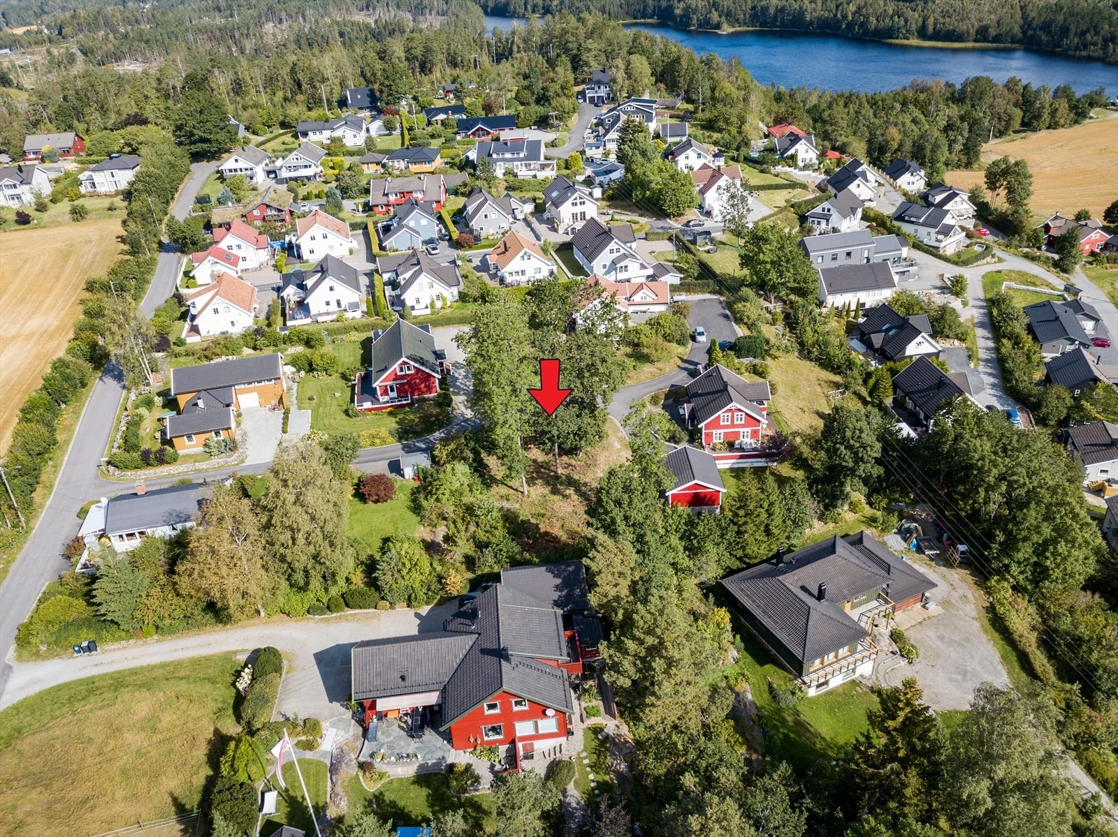Tomten er beliggende i et rolig og etablert nabolag med gangavstand til det meste man behøver i hverdagen. Det er felt noen trær siden dette bilde ble tatt. Galleribilde