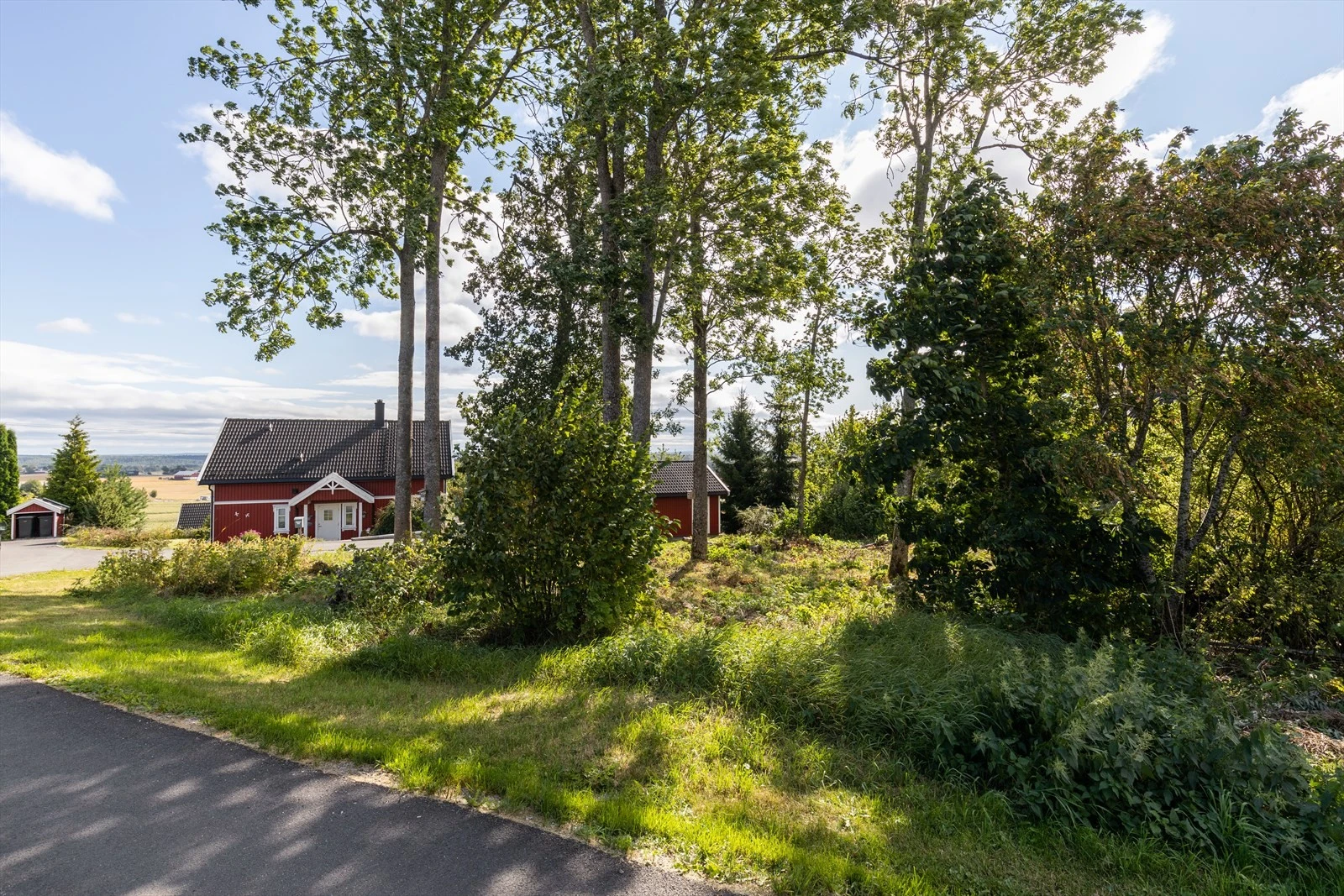 Selveiet tomt på 827kvm. Det er felt noen trær siden dette bilde ble tatt. Galleribilde