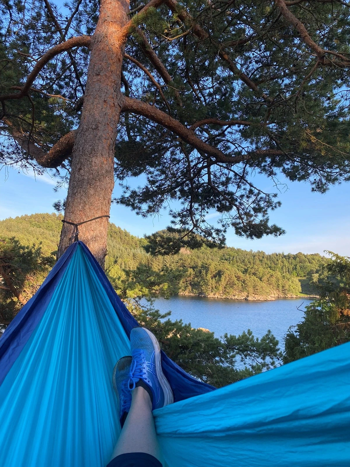 Selgers bilde. "Middagshvil ved terrassen". Galleribilde