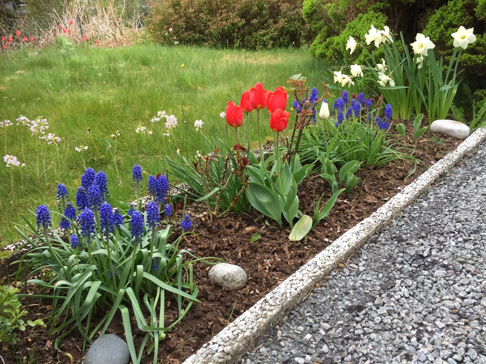 Fine blomsterbed på eiendommen. Galleribilde