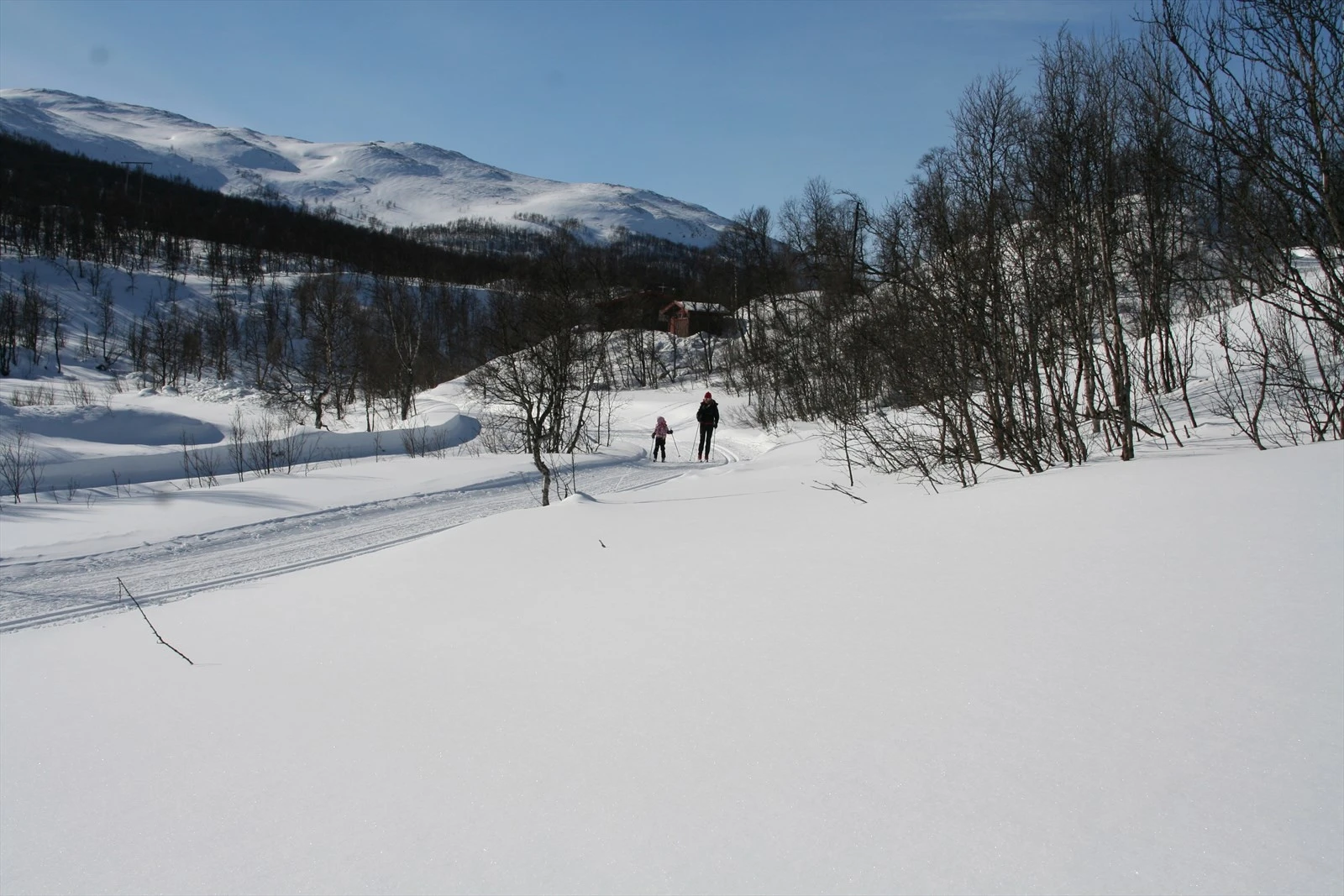 Flotte langrennspor noen stavtak fra hytta hvor du bare kan nyte tiden i sporet! Galleribilde