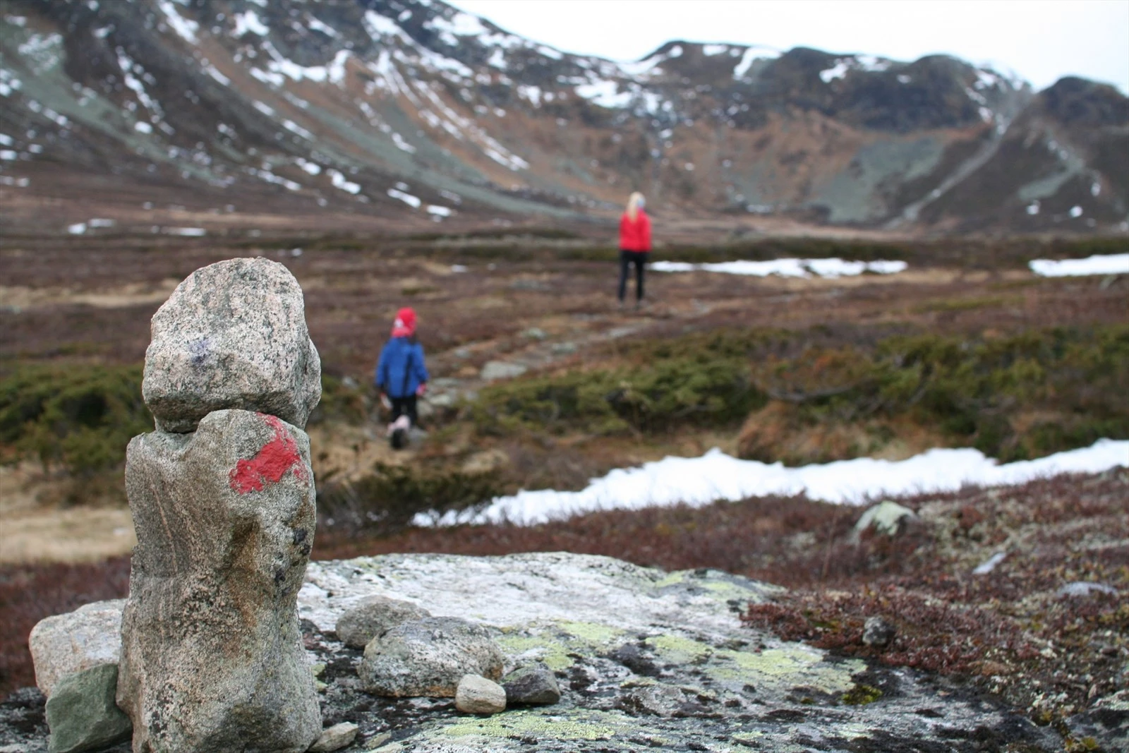 Du finner DNT merkede stier rett fra hytta. Galleribilde