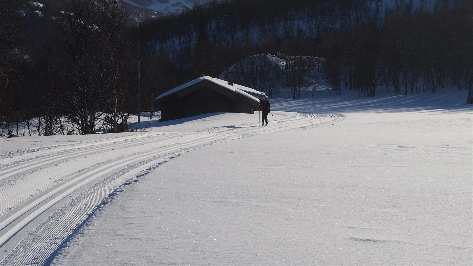 Preppede langrennsløyper rett utenfor døren. Galleribilde