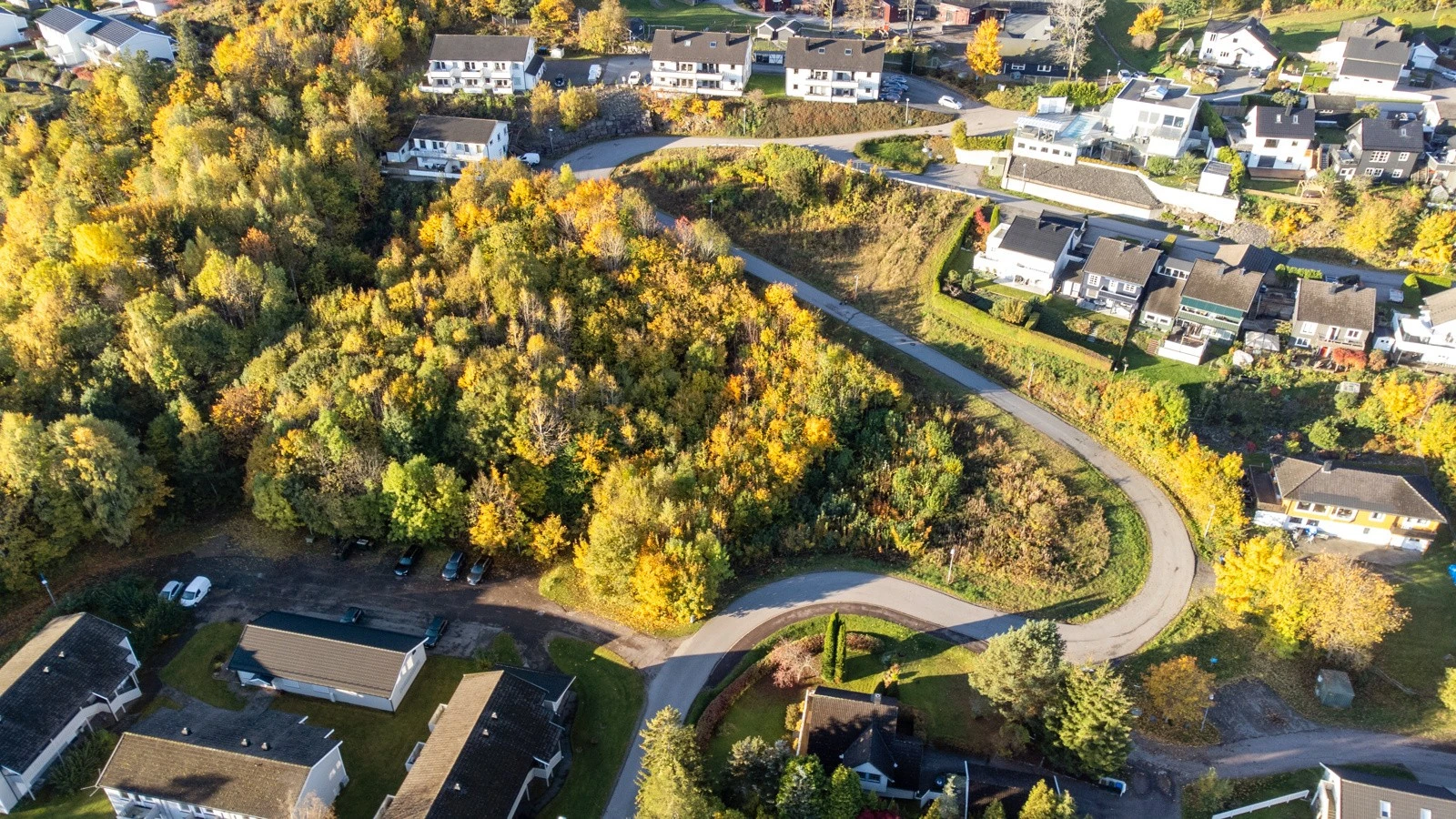 Utviklingsområde Galleribilde