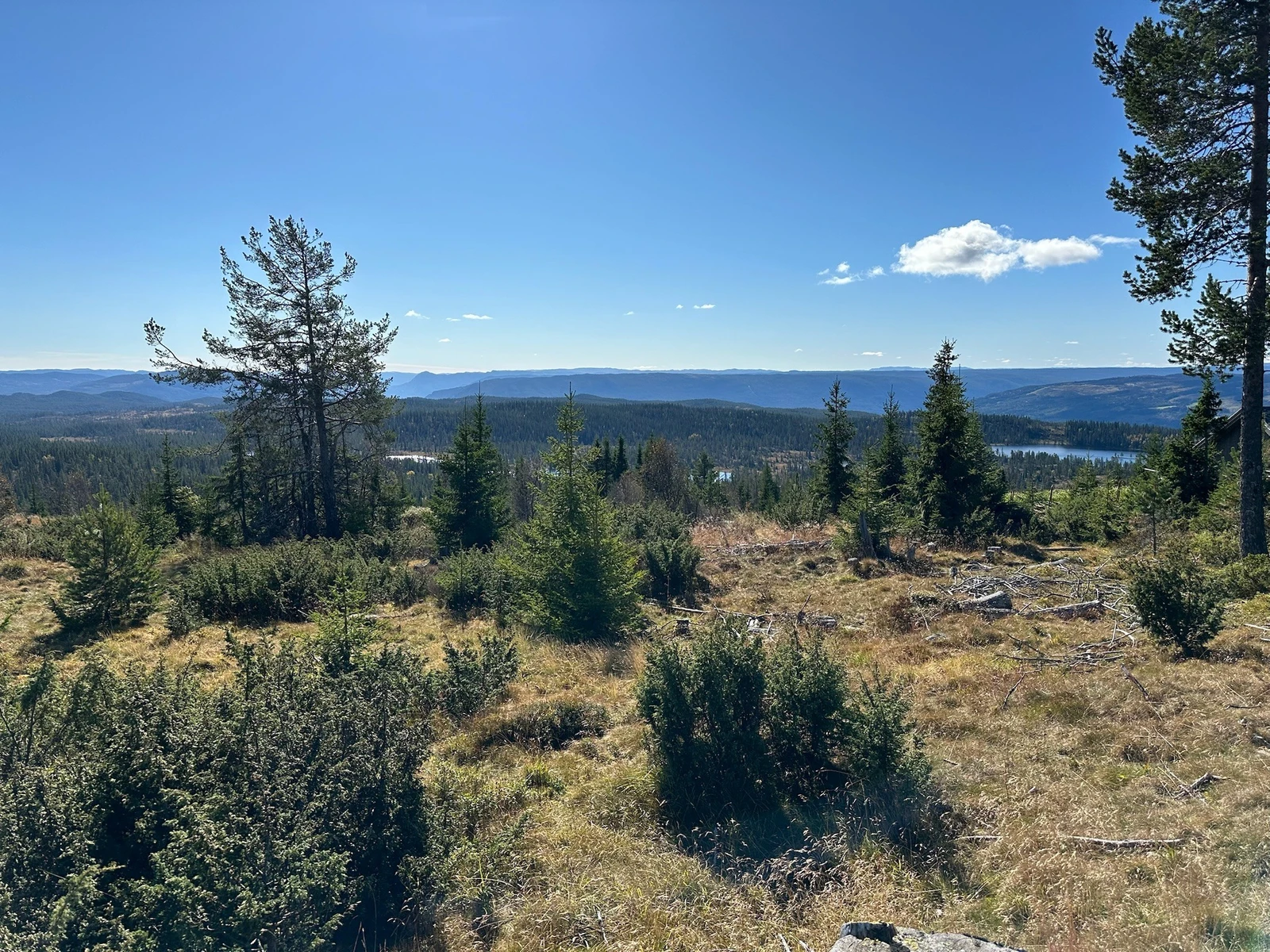 Unik mulighet på Golsfjellet! Galleribilde