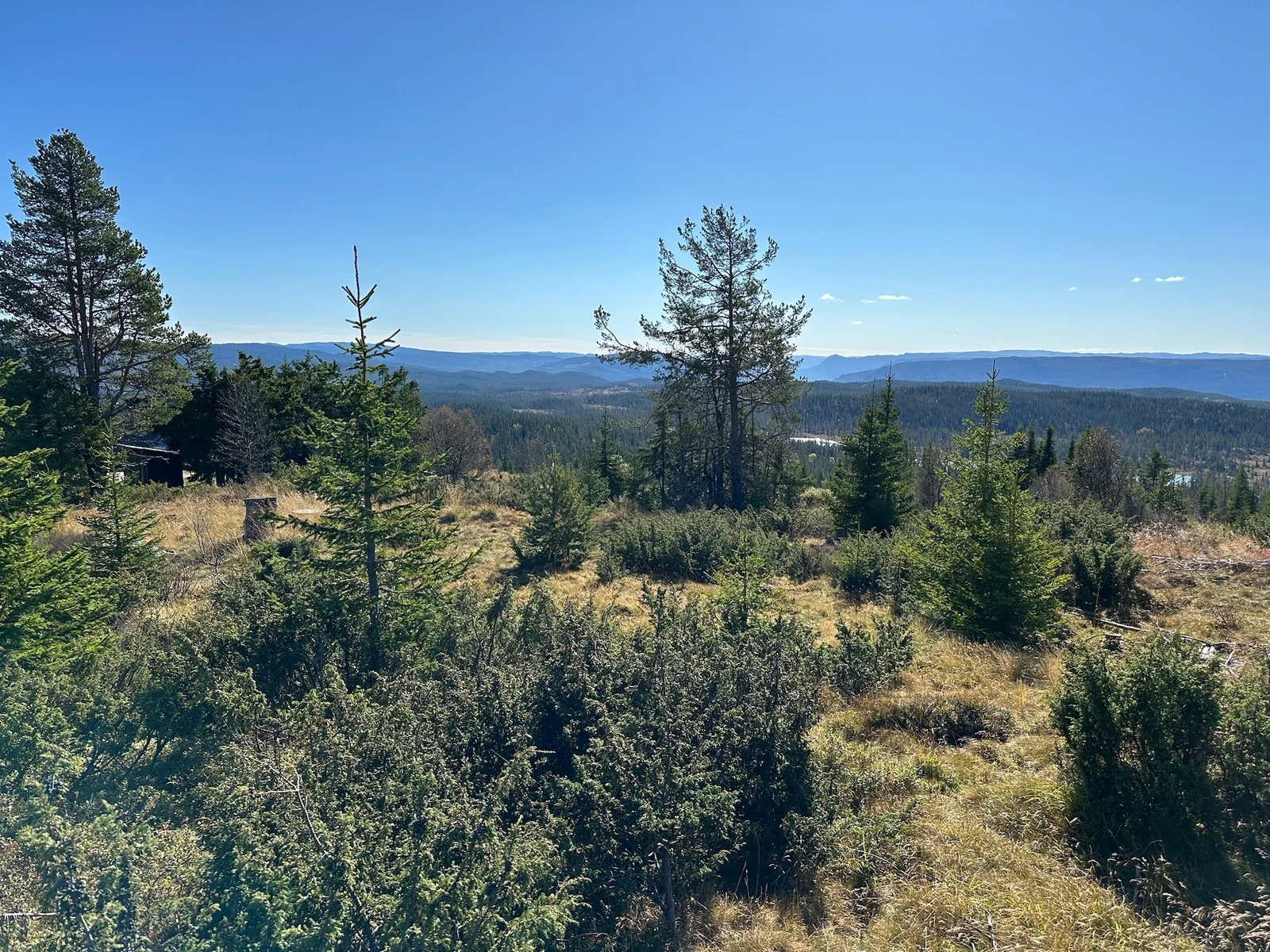 Dette er siste utsiktstomt i fremste rekke og 50 meter fra et løypenett på mange hundre km Galleribilde