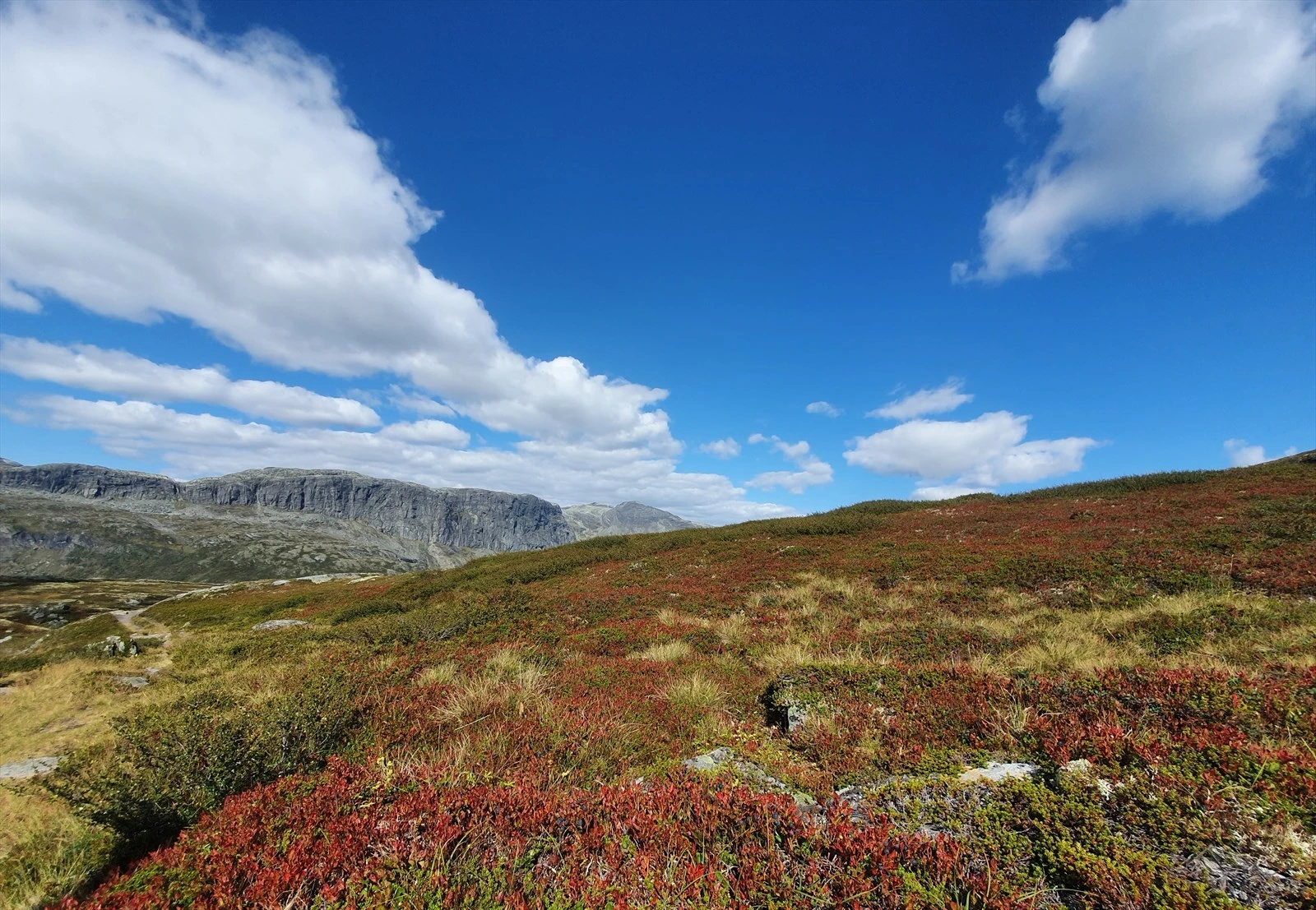 Utsikt fra Skarvåga mot Urdvassberget Galleribilde