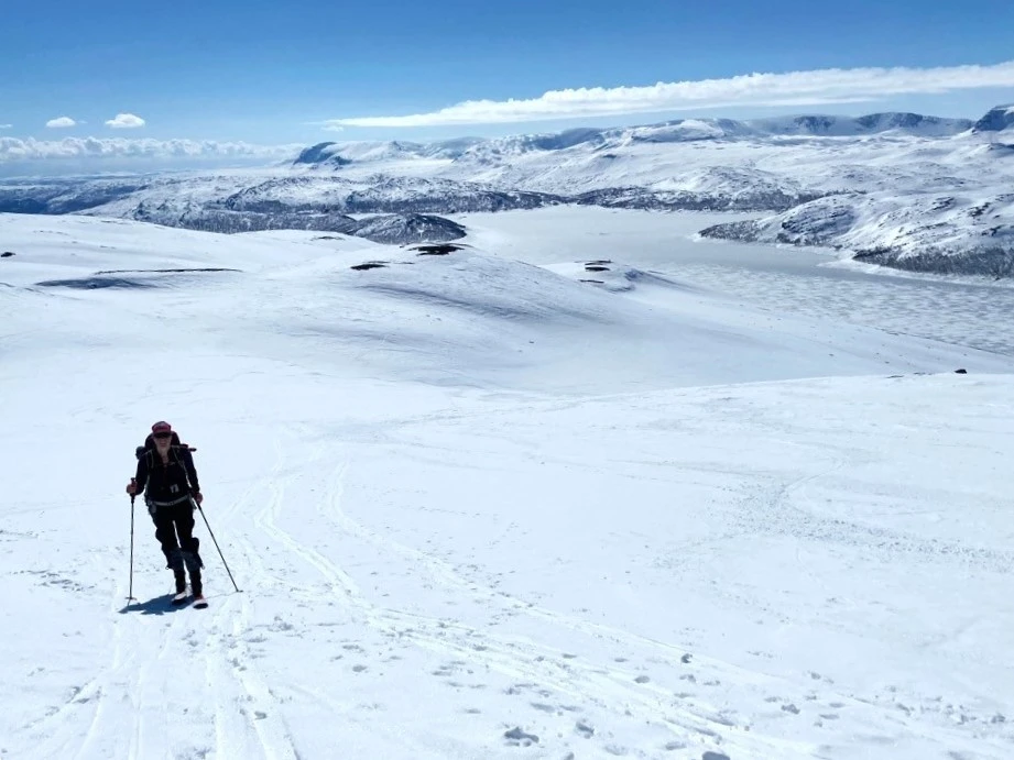 Topptur til Blåberge Galleribilde