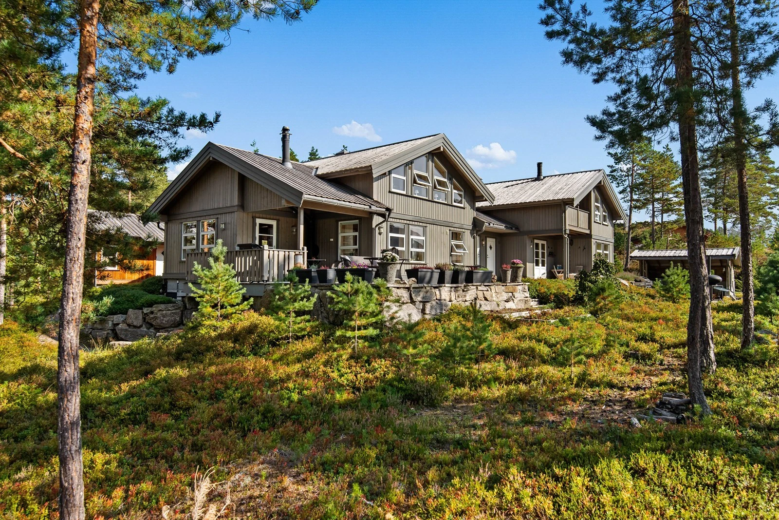 Naturen omkranser hytten på en fin naturlig måte Galleribilde