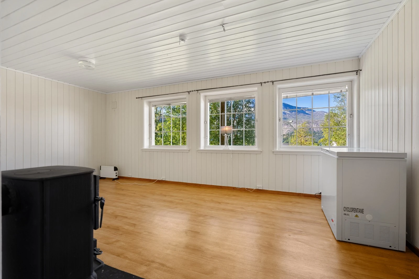 Lyse vindusflater gir godt med naturlig lys inn i rommet og rammer inn den flotte utsikten mot fjell og natur i Skjomen Galleribilde