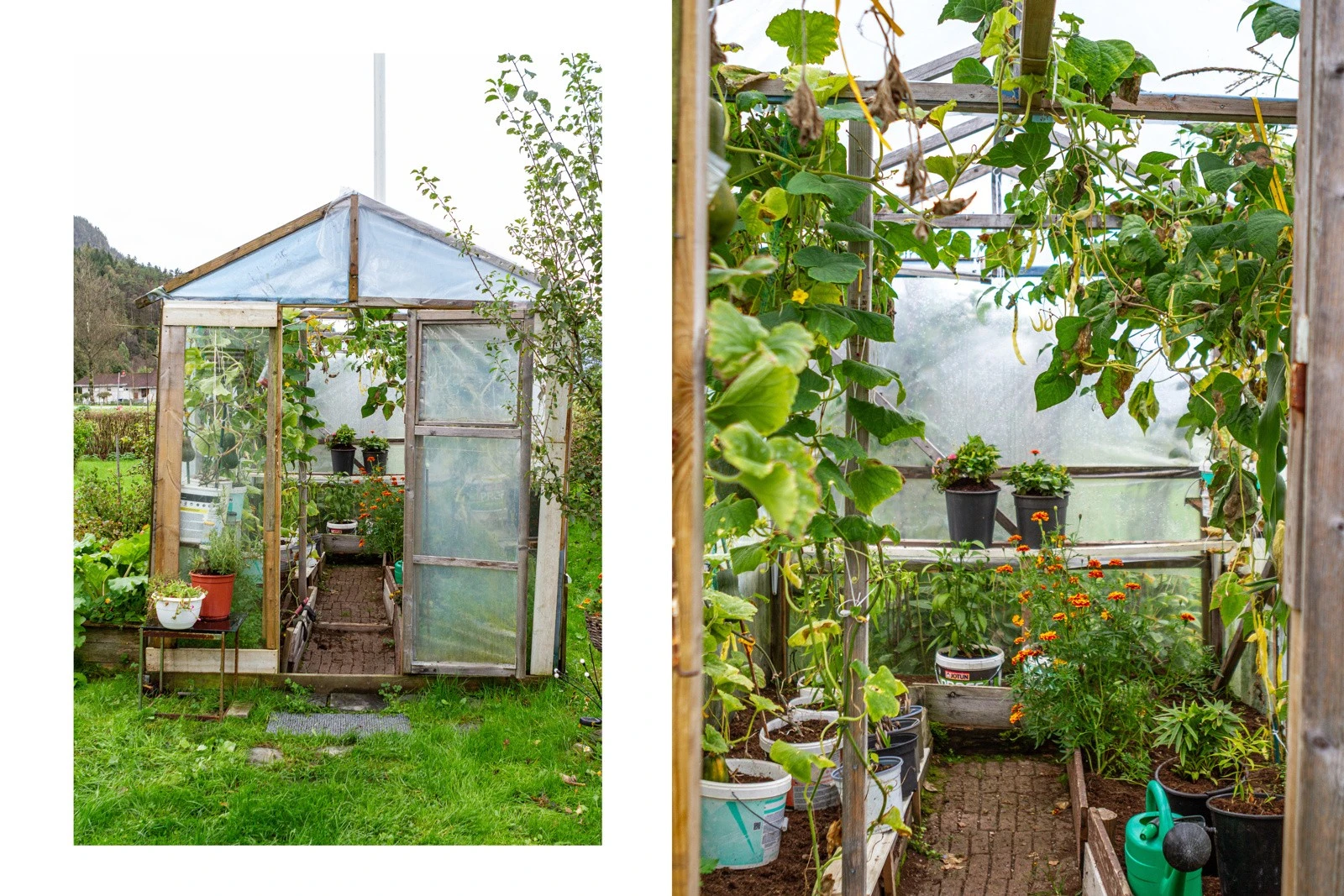 På eiendommen finnes et koselig drivhus som gir gode muligheter for å dyrke egne grønnsaker, urter eller blomster. Galleribilde
