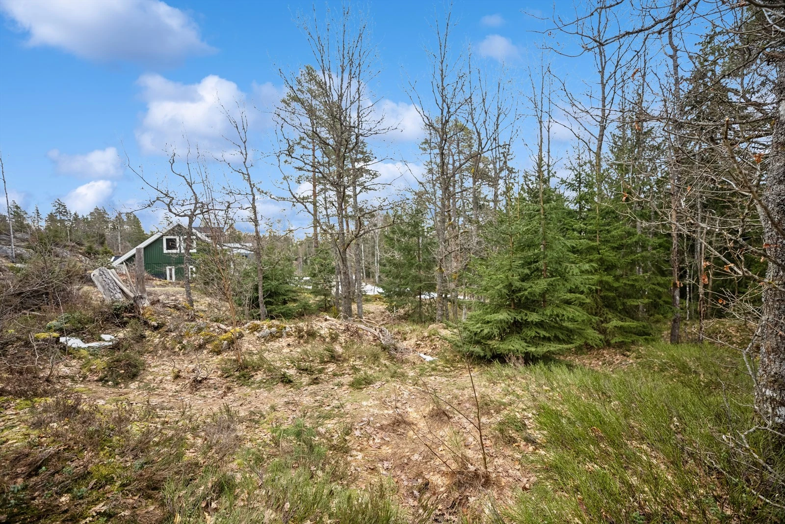 Romslig tomt på 2 950 kvm. Potensiale for fradeling. Minimum 800 kvm for eneboligtomt. Galleribilde