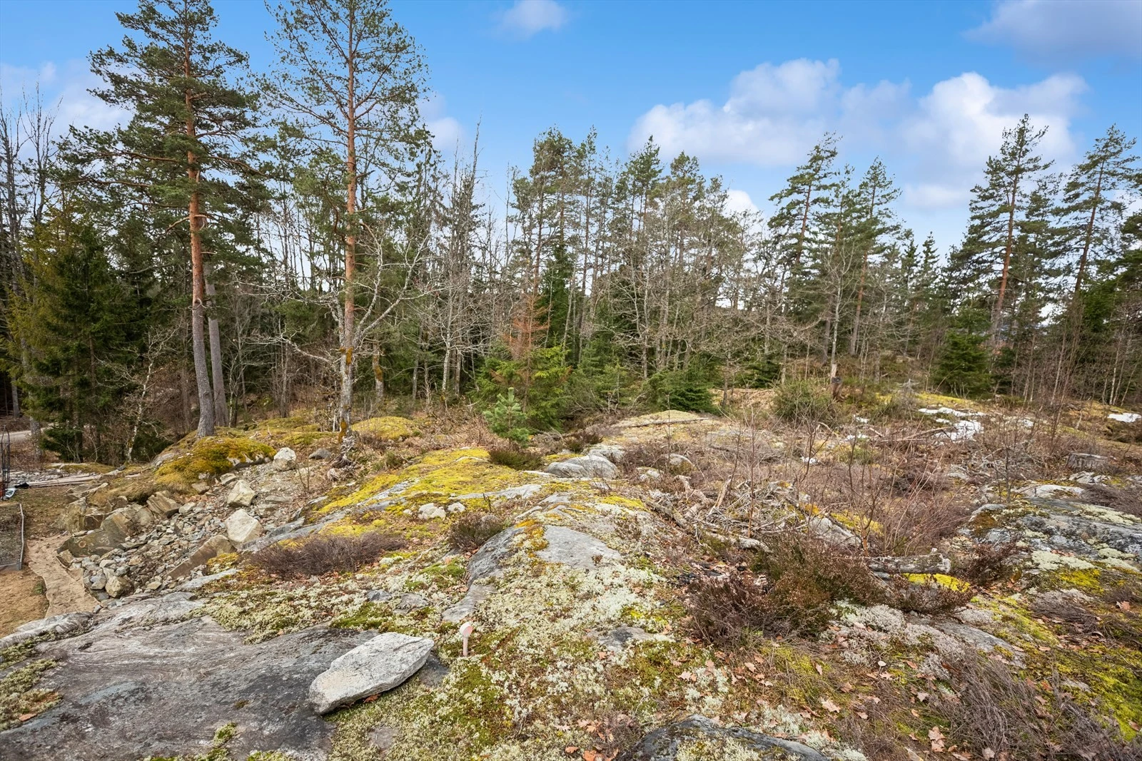 Tomten er stort sett skrånende mot syd med en del synlig fjell, trær og busker. Galleribilde