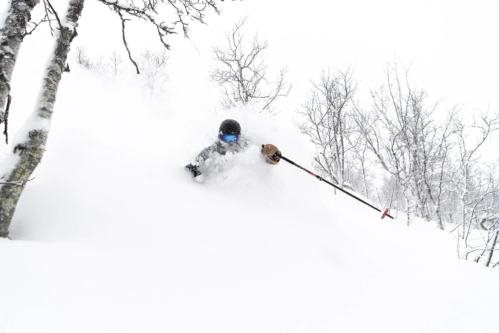 Avslutt skidagen med offpiste gjennom "Gummiskogen" tilbake til Tuv. Galleribilde