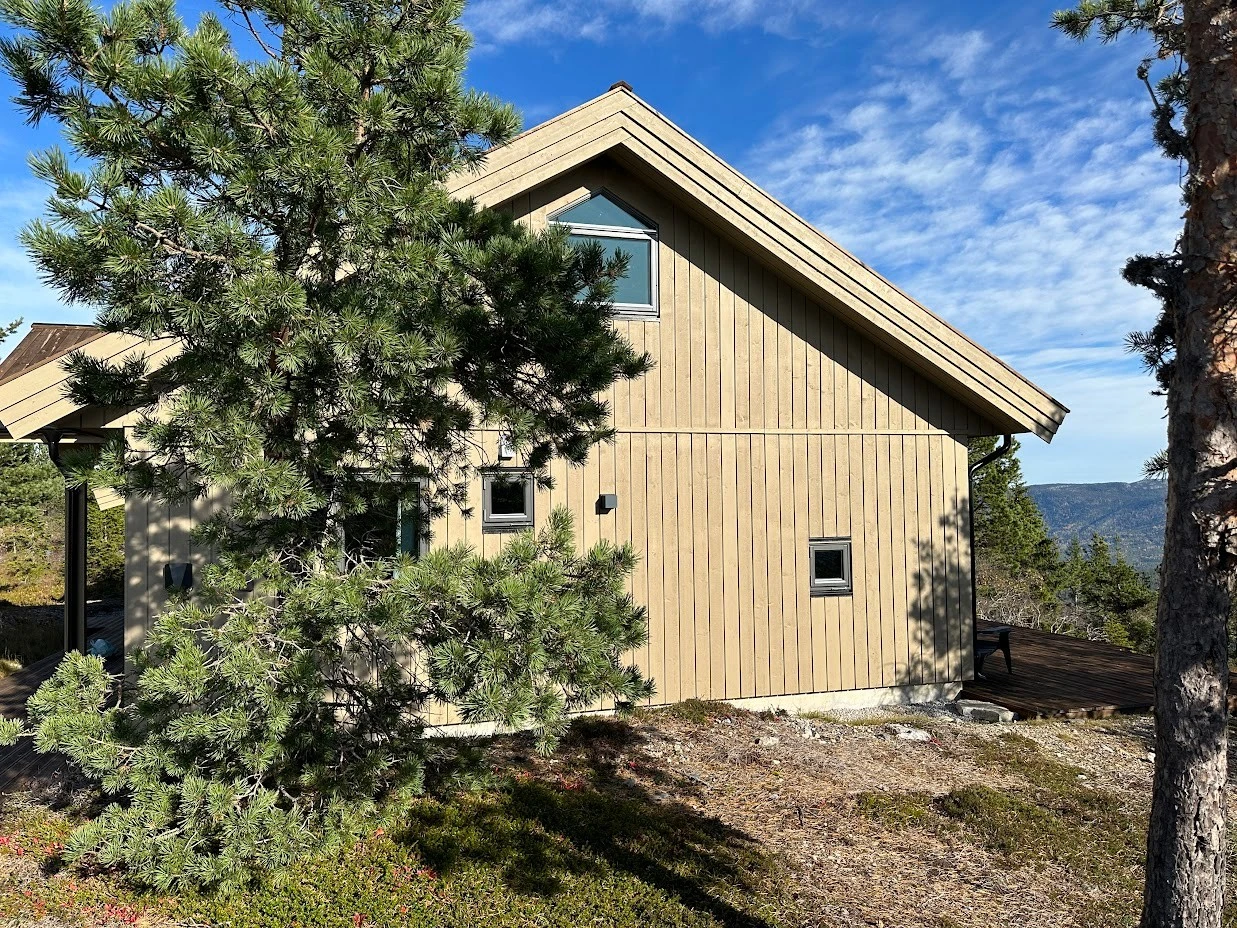 Fantastisk naturtomt med lyng, bær, furutrær mm. Selgers private bilde. Galleribilde