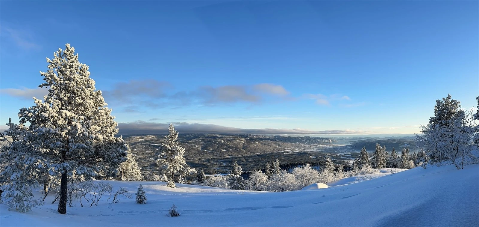 Fantastisk utsikt fra hytta. Selgers private bilde. Galleribilde