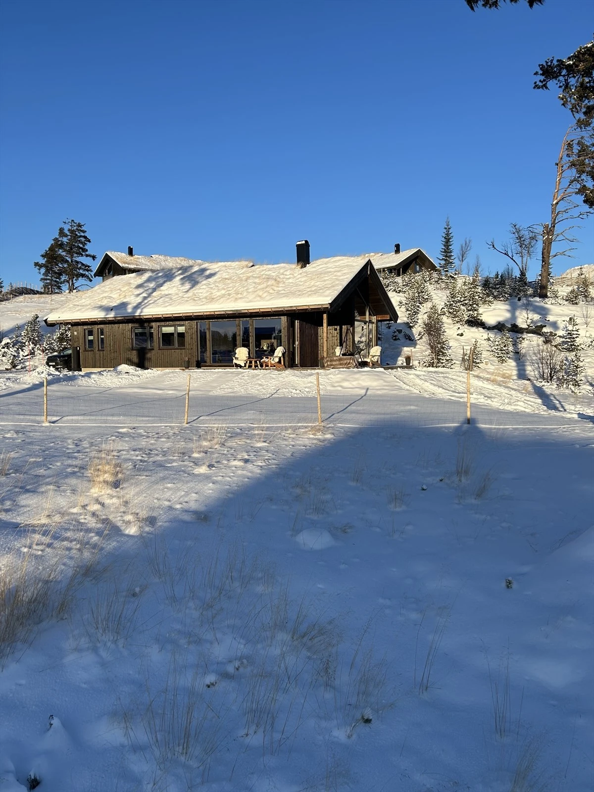 Vinterbilder tatt av eier Galleribilde