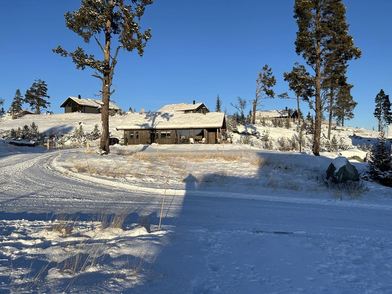 Vinterbilder tatt av eier Galleribilde