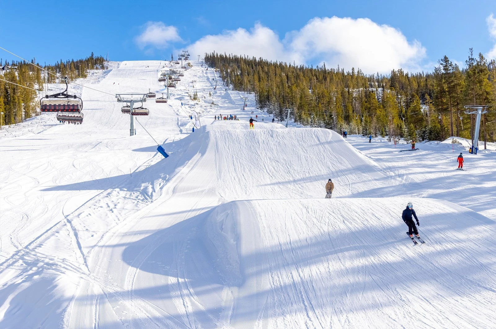 Flott terrengpark med egen heis Galleribilde