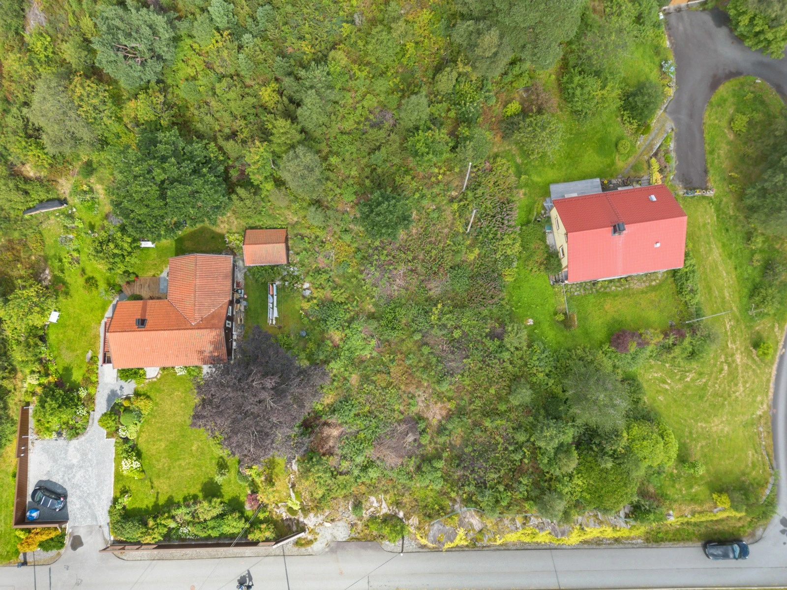 Tomten er forholdsvis flat og ryddet for skog Galleribilde