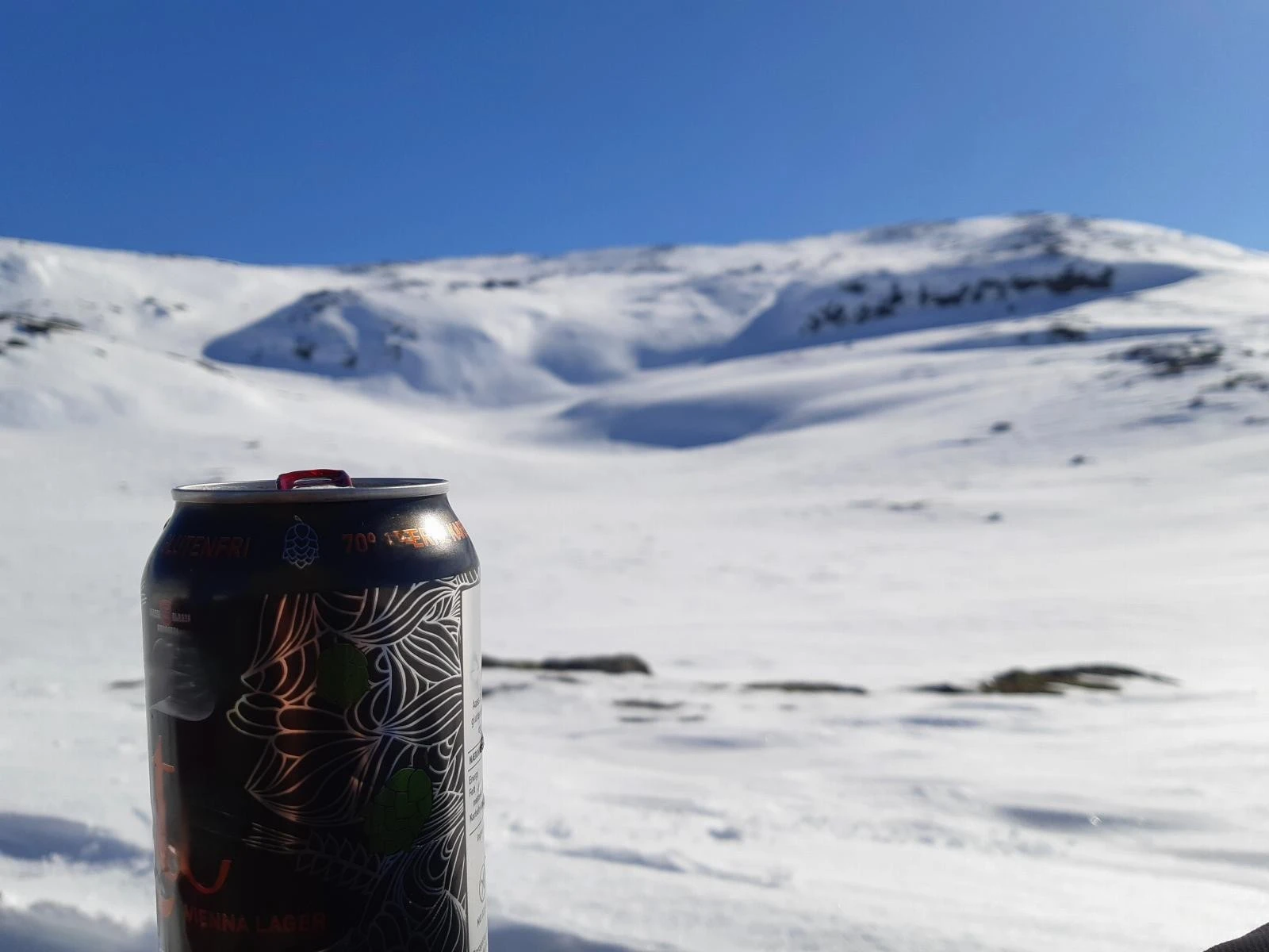 Fin utsikt over fjellheimen...... Galleribilde