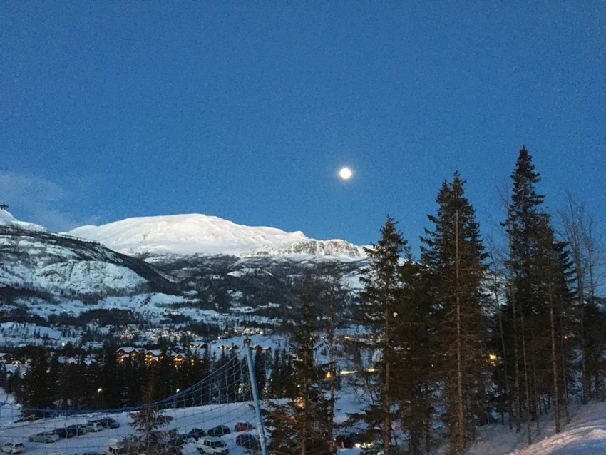 Eiers eget stemningsbilde Galleribilde