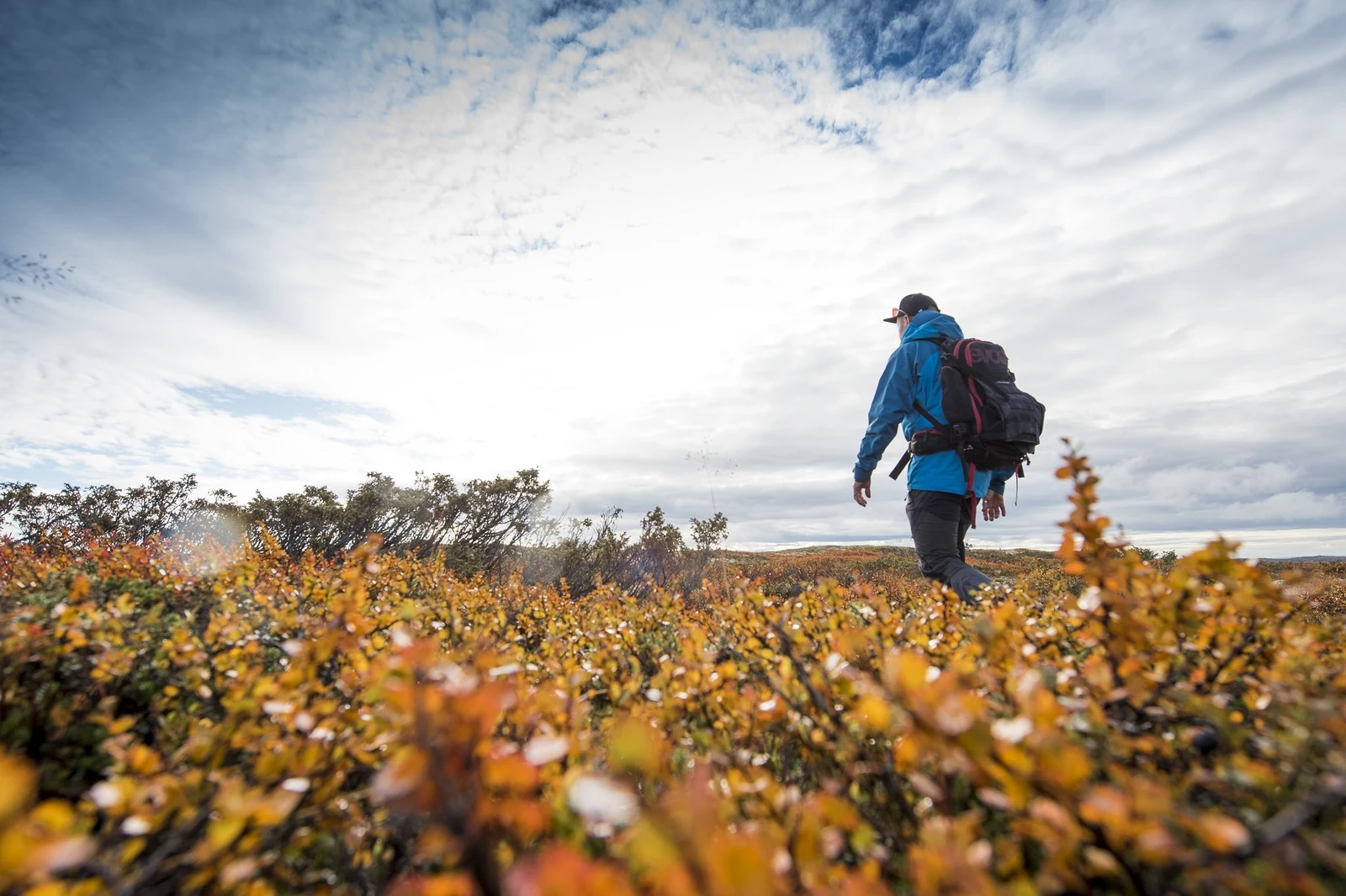 Turområder direkte ut til gapahuker og fjellvann fra hytta. Galleribilde