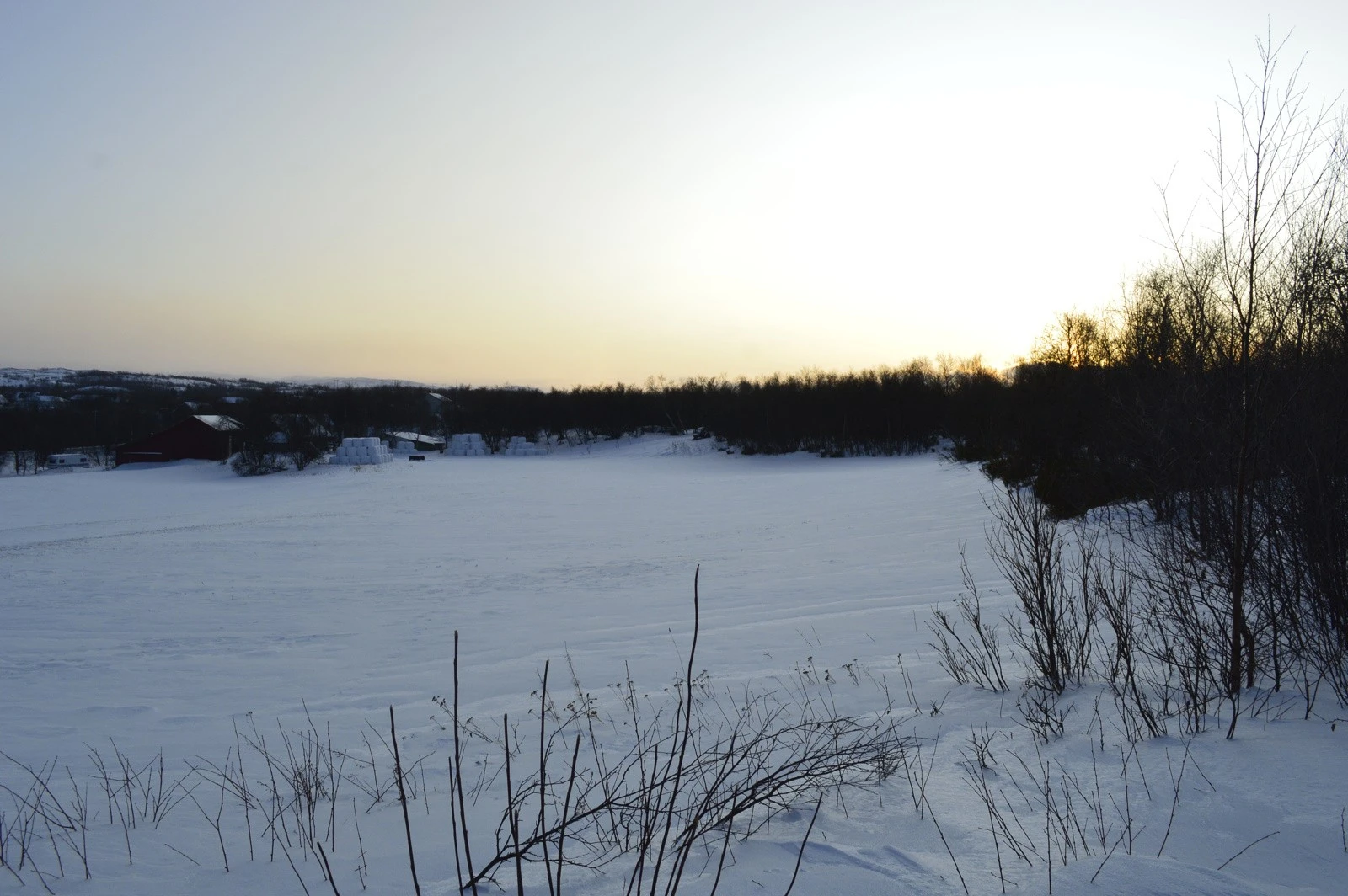 Tomt mot sør Galleribilde
