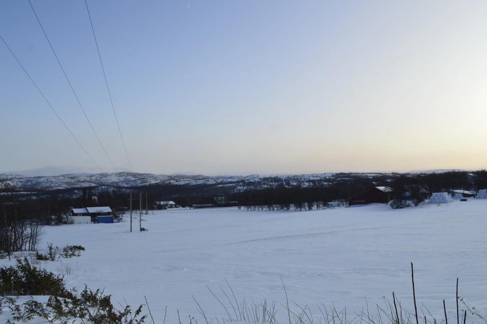 Tomt mot øst Galleribilde