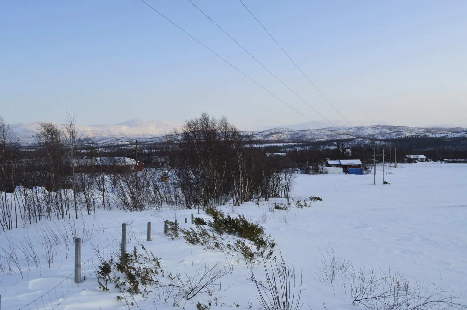 Tomt mot øst Galleribilde