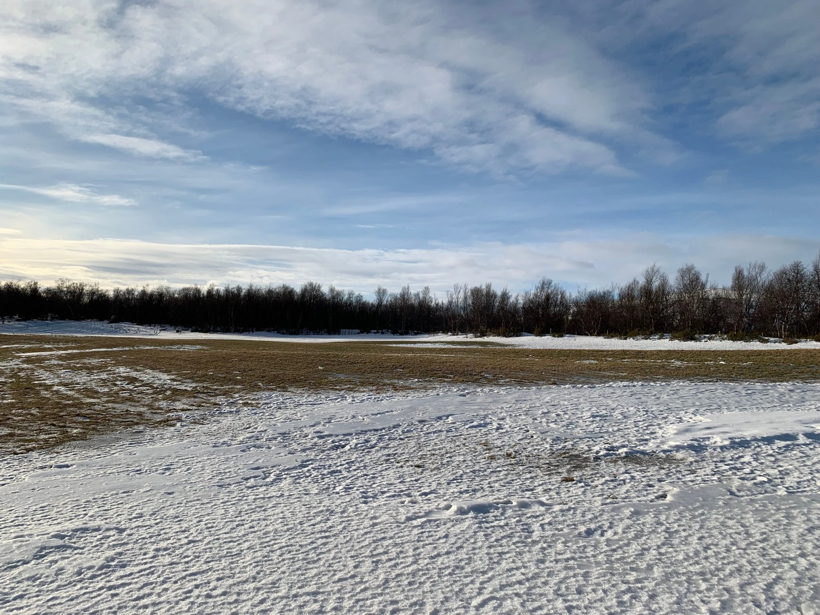 Tomt mot sør/vest Galleribilde