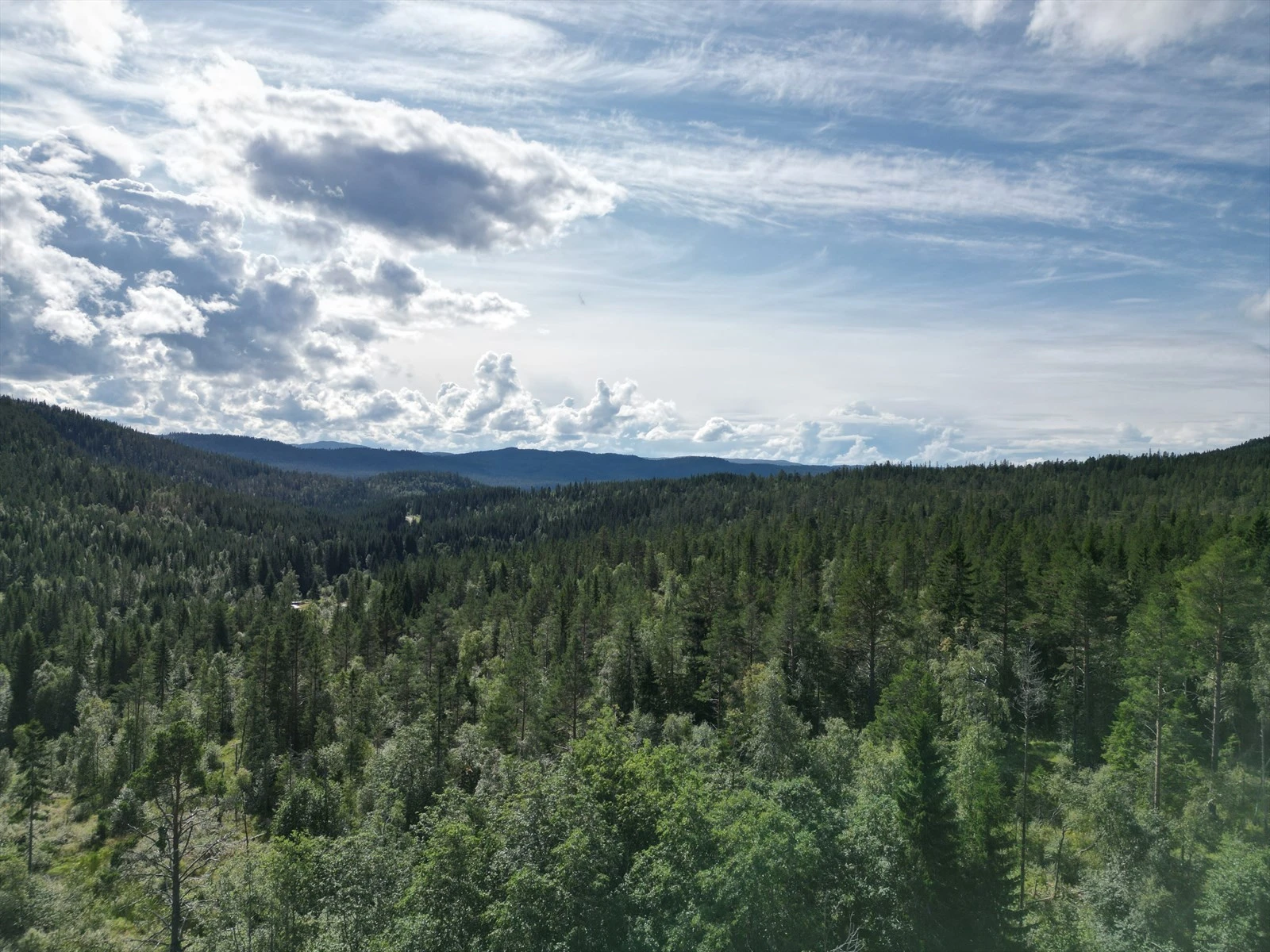 Ta kontakt med megler dersom du har spørsmål til eiendommen. Galleribilde