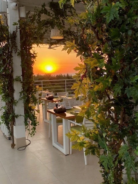 Taro restauranten i anlegget er veldig bra :-) Galleribilde