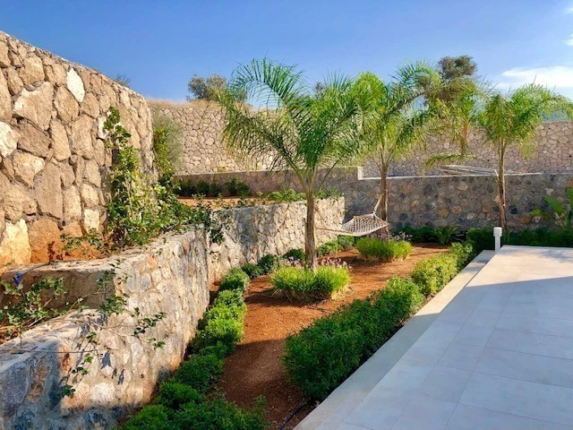 Usjenert hage bak huset beplantet med et stort utvalg eksotiske planter Galleribilde