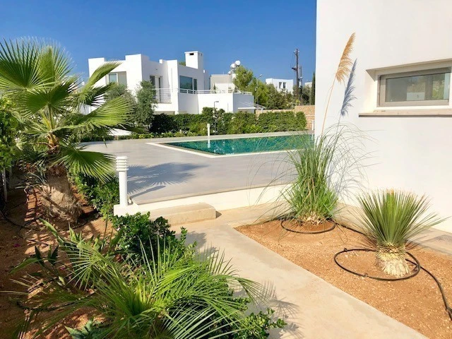 Ferdig beplantet hage med modne vekster Galleribilde