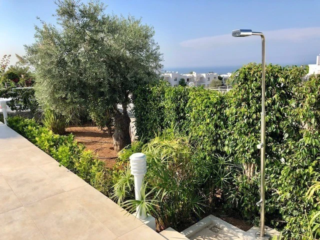 Utedusj ved bassenget Galleribilde