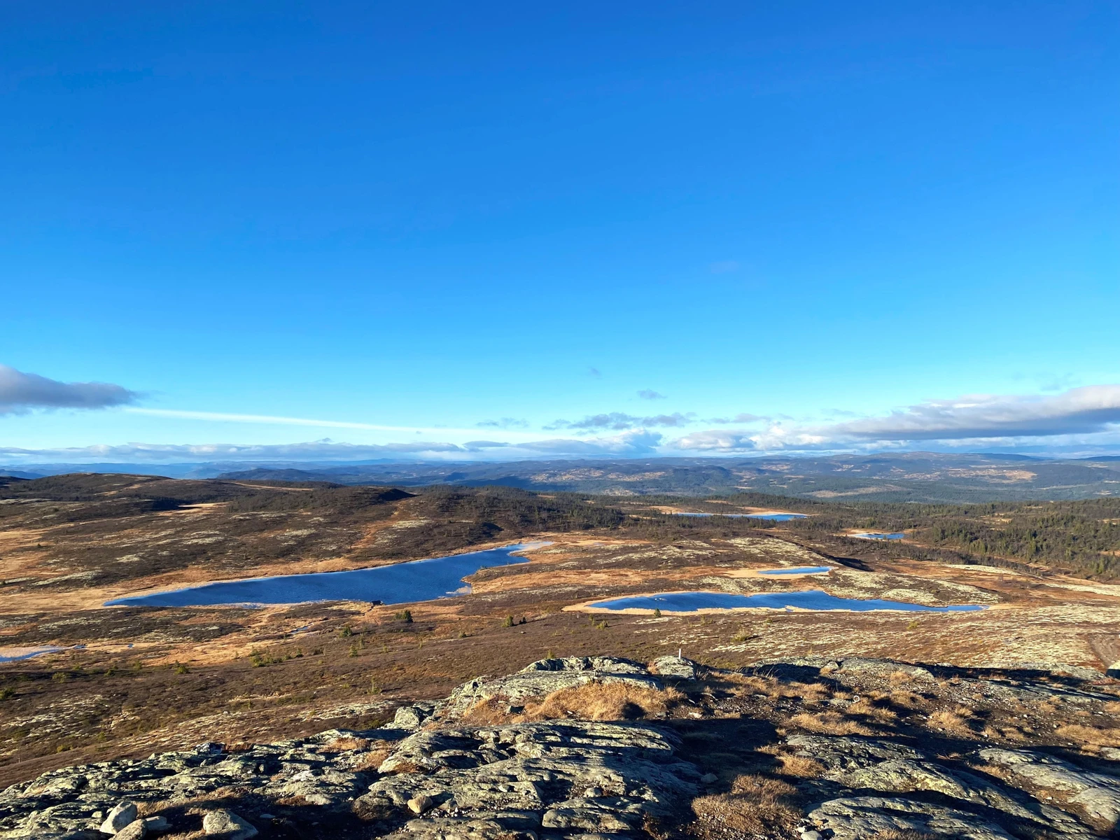 Et tureldorado rett utenfor døra Galleribilde