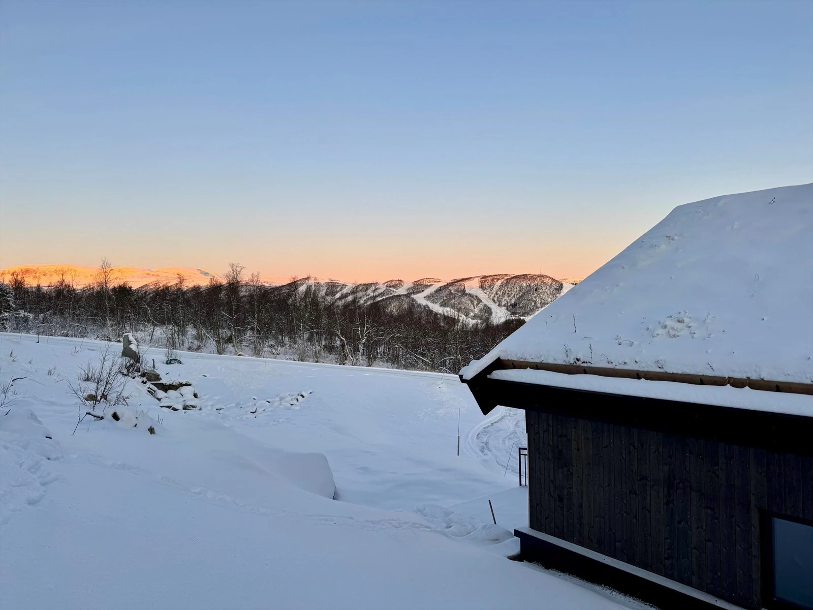 Selgers foto Galleribilde