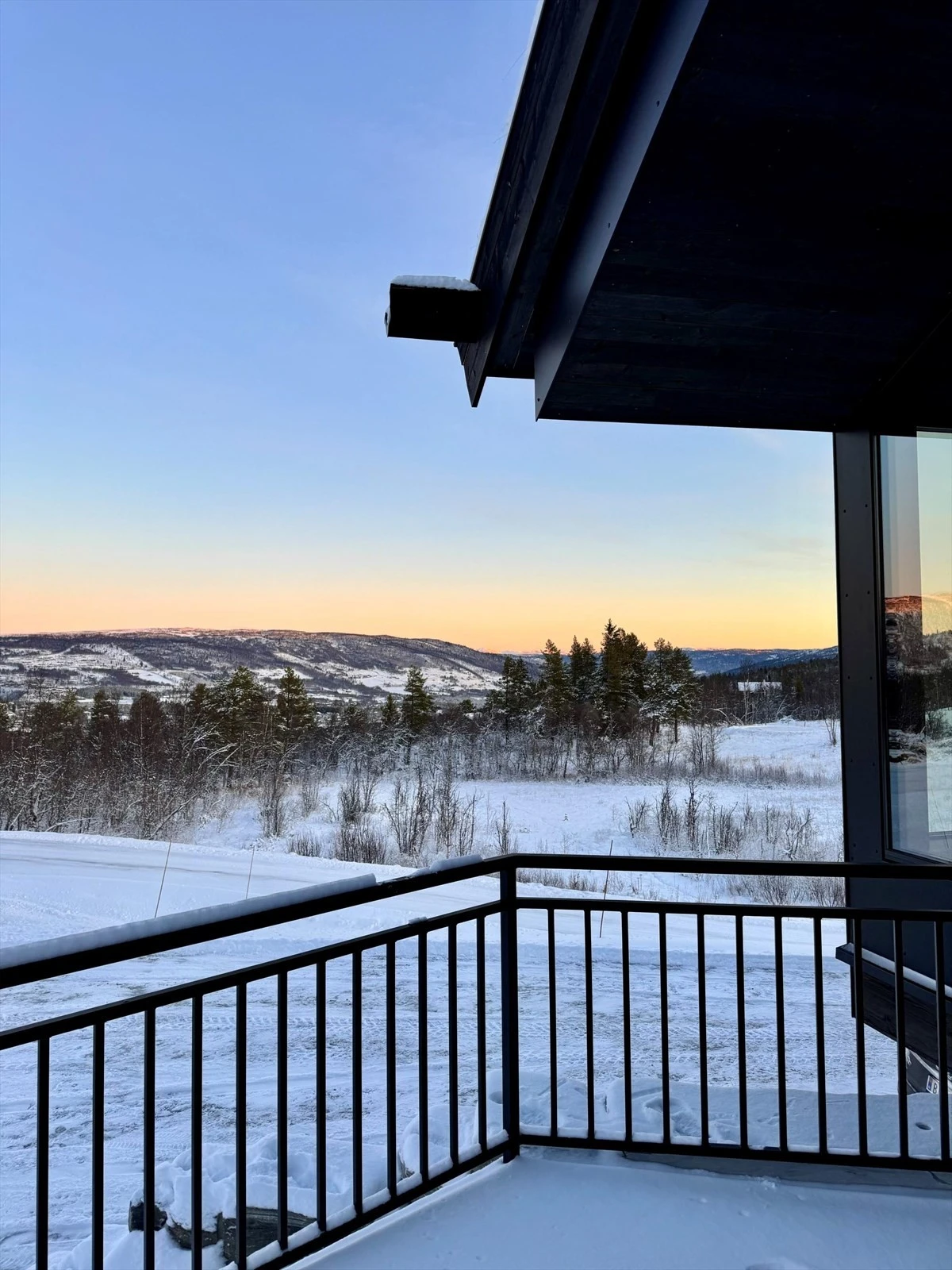 Selgers foto Galleribilde