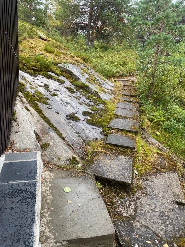 Sti fra hytta Galleribilde