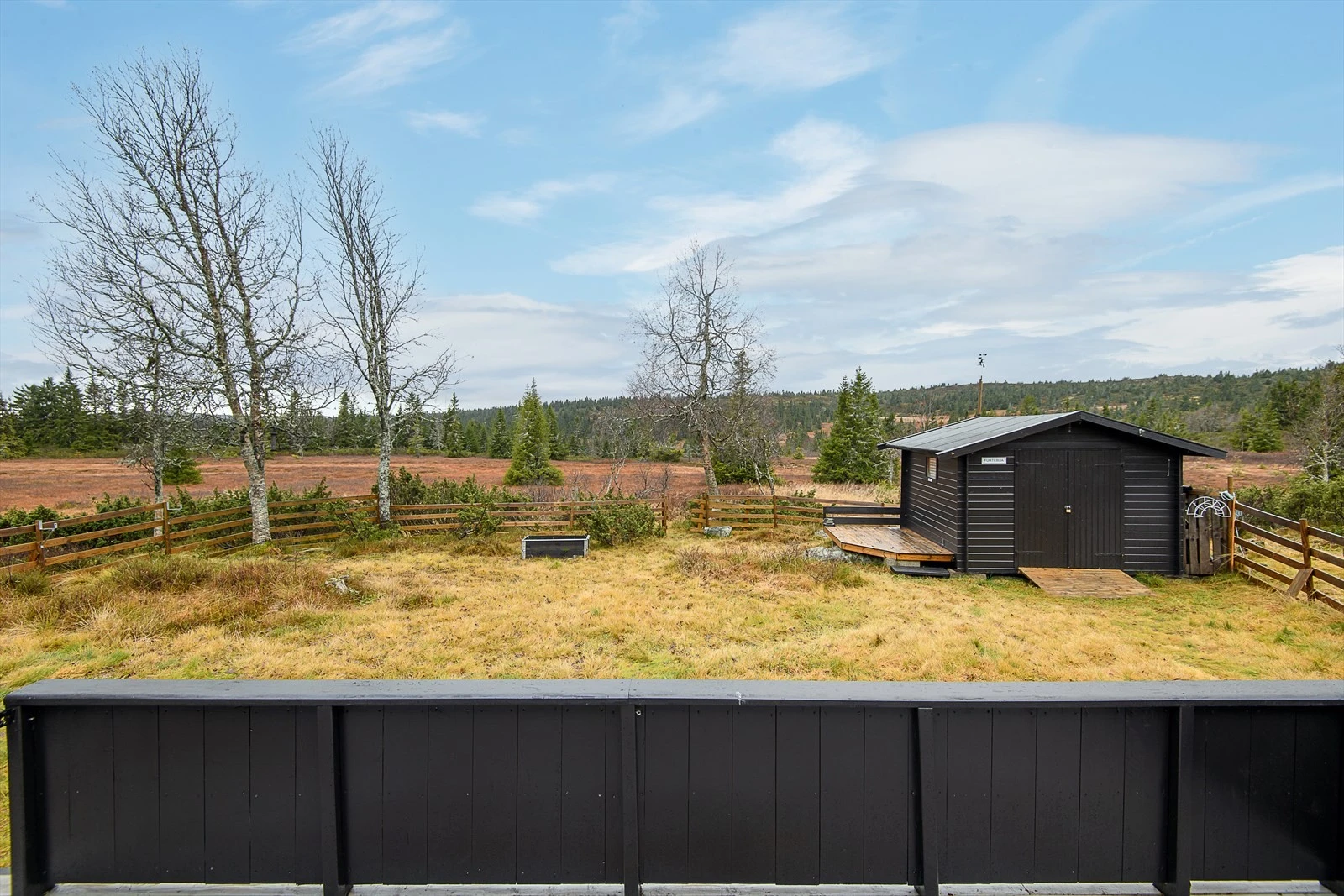 Her kan du finne roen. Galleribilde