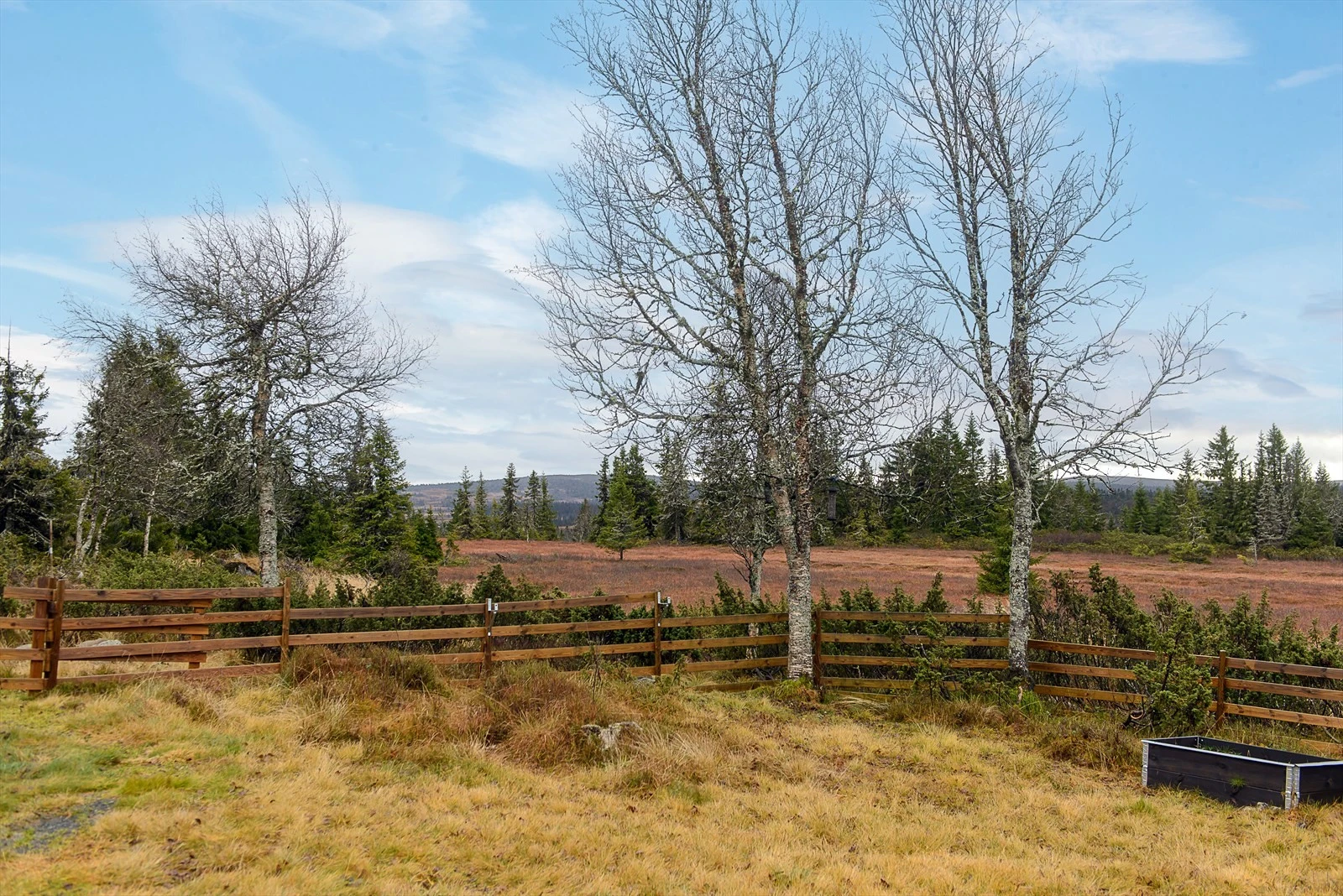 Nydelig område rundt hytta. Perfekt utgangspunkt for turer, sommer som vinter med oppkjørte skiløyper rett i nærheten og fine turstier tilgjengelig sommerstid. Galleribilde