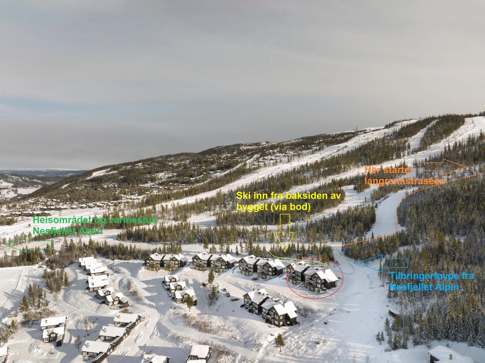 Leiligheten ligger midt i smørøyet av Nesfjellet Galleribilde