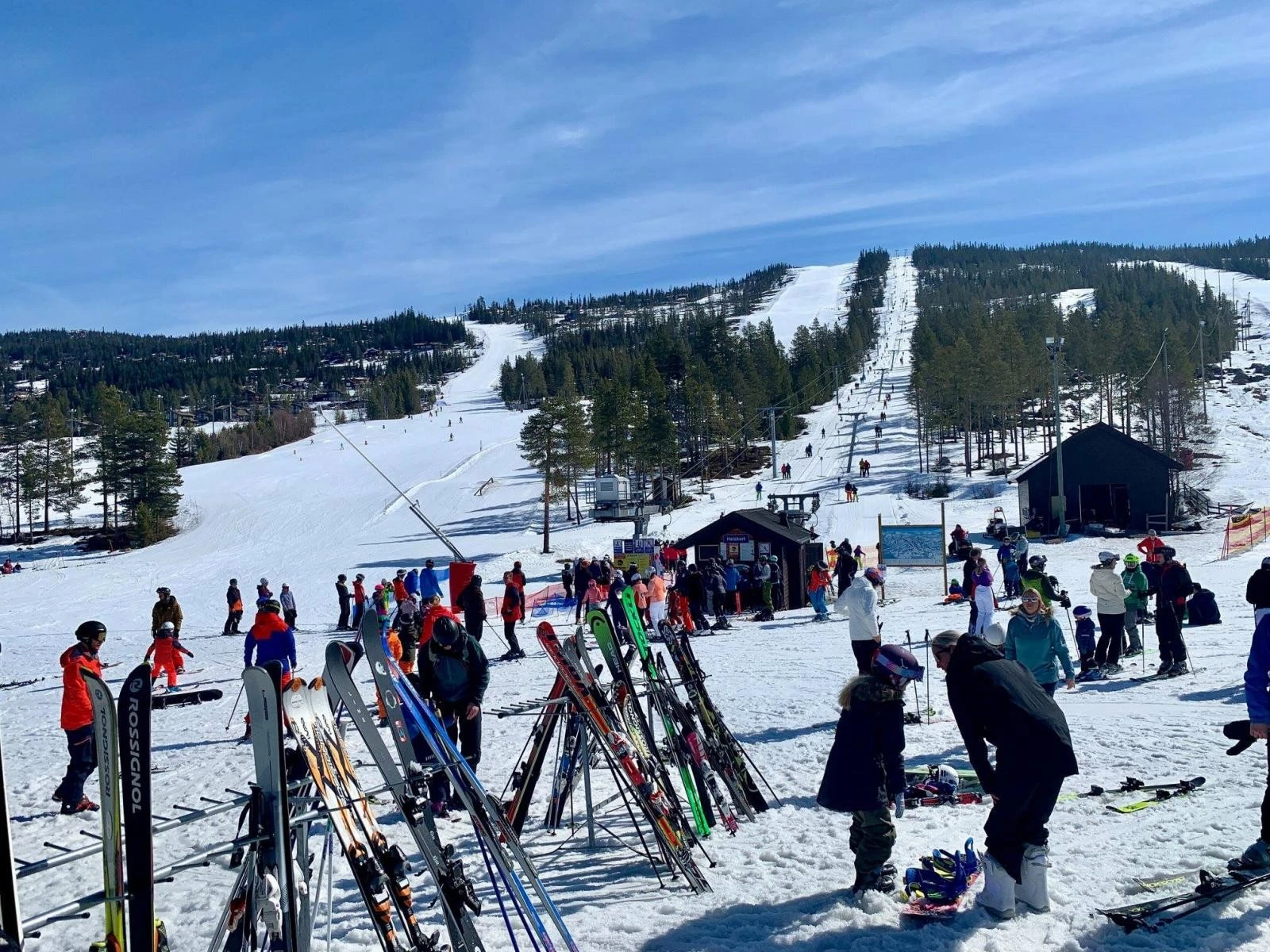 Nesfjellet Alpin tilbyr velpreparerte bakker i alle vanskelighetsgrader. Alpinsenteret har også et trygt område for barn og nybegynnere, samt en av Norges lengste trikse-parker Galleribilde