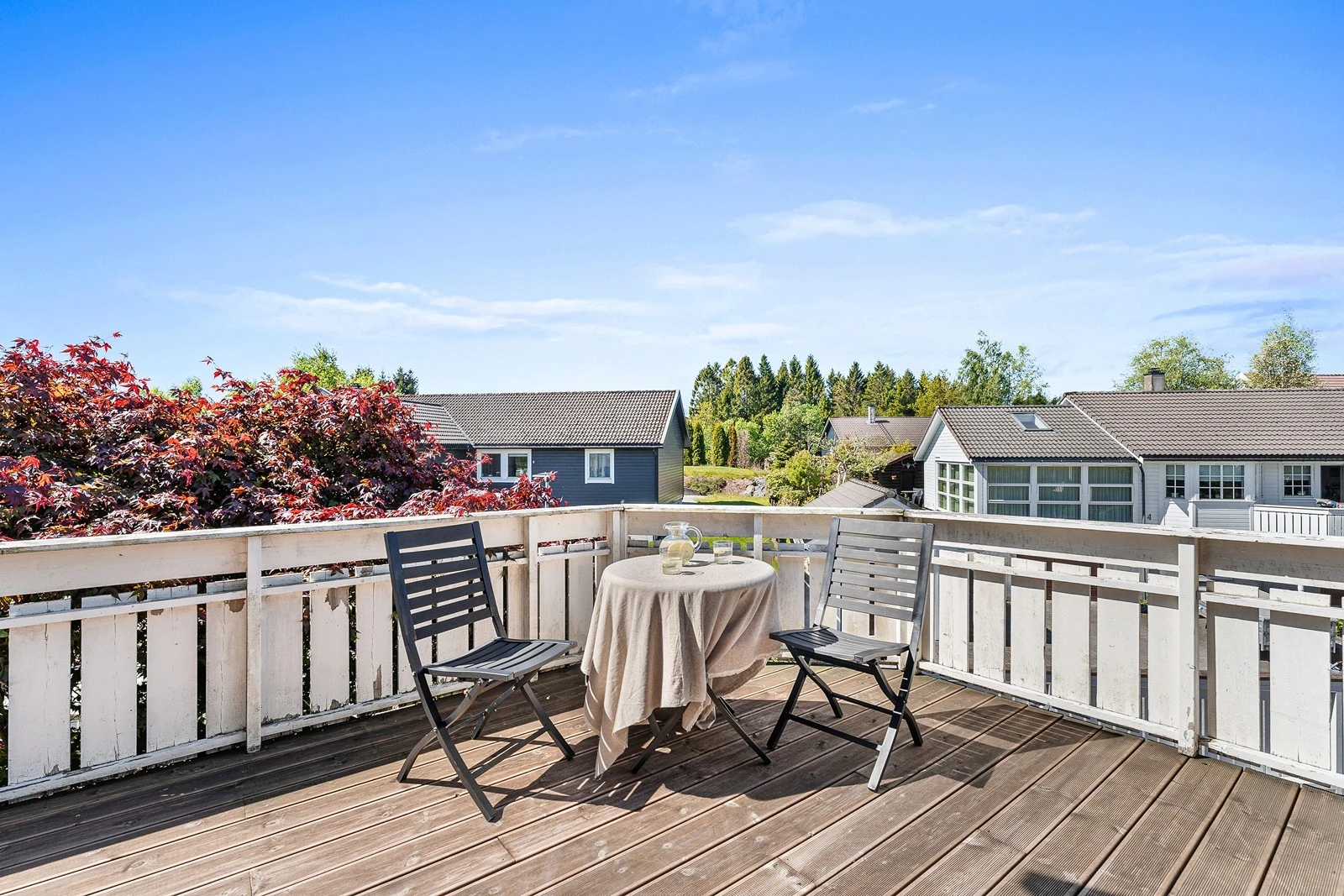 Denne nyter gode solforhold. Galleribilde