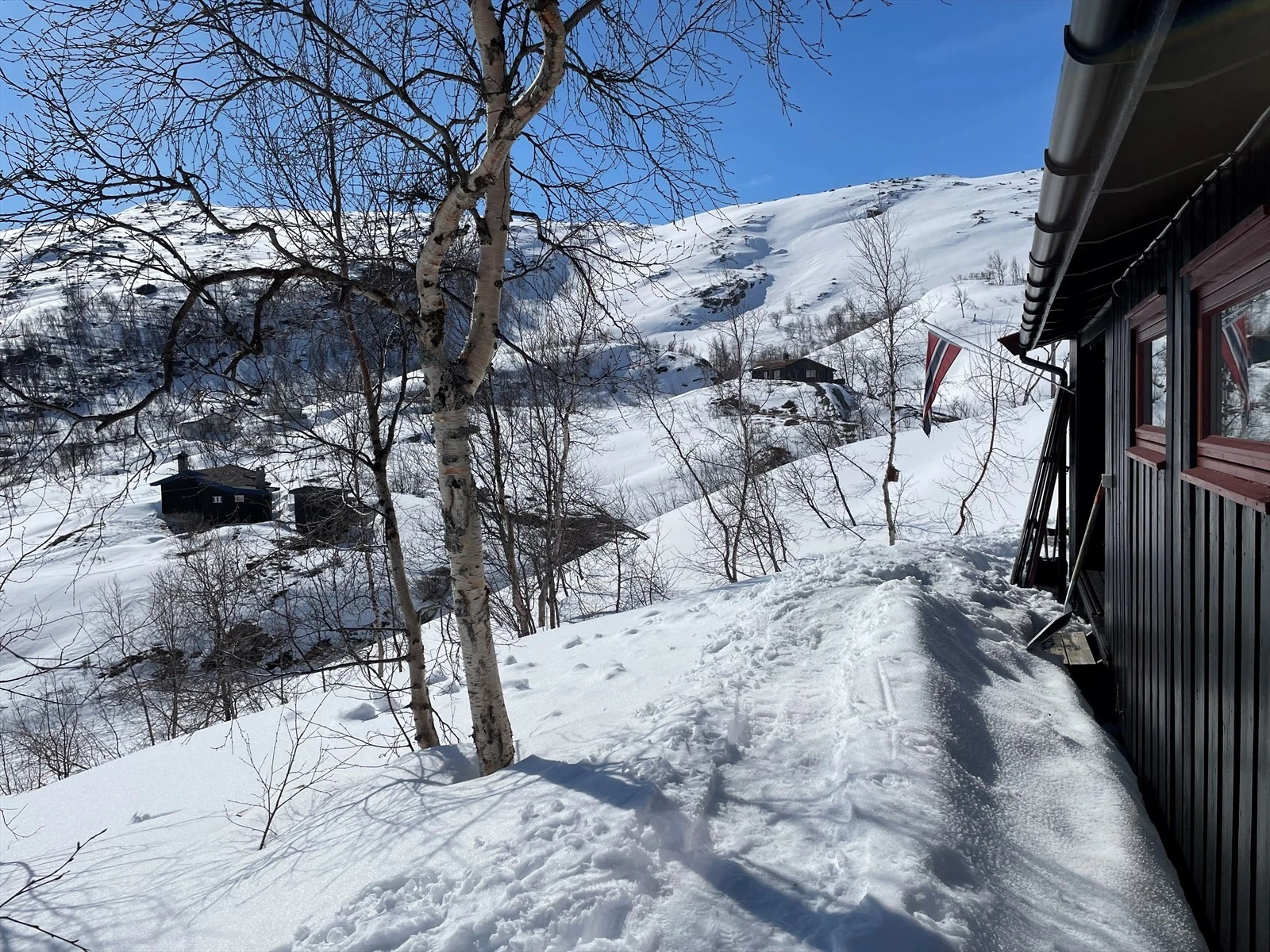 Selgers foto Galleribilde