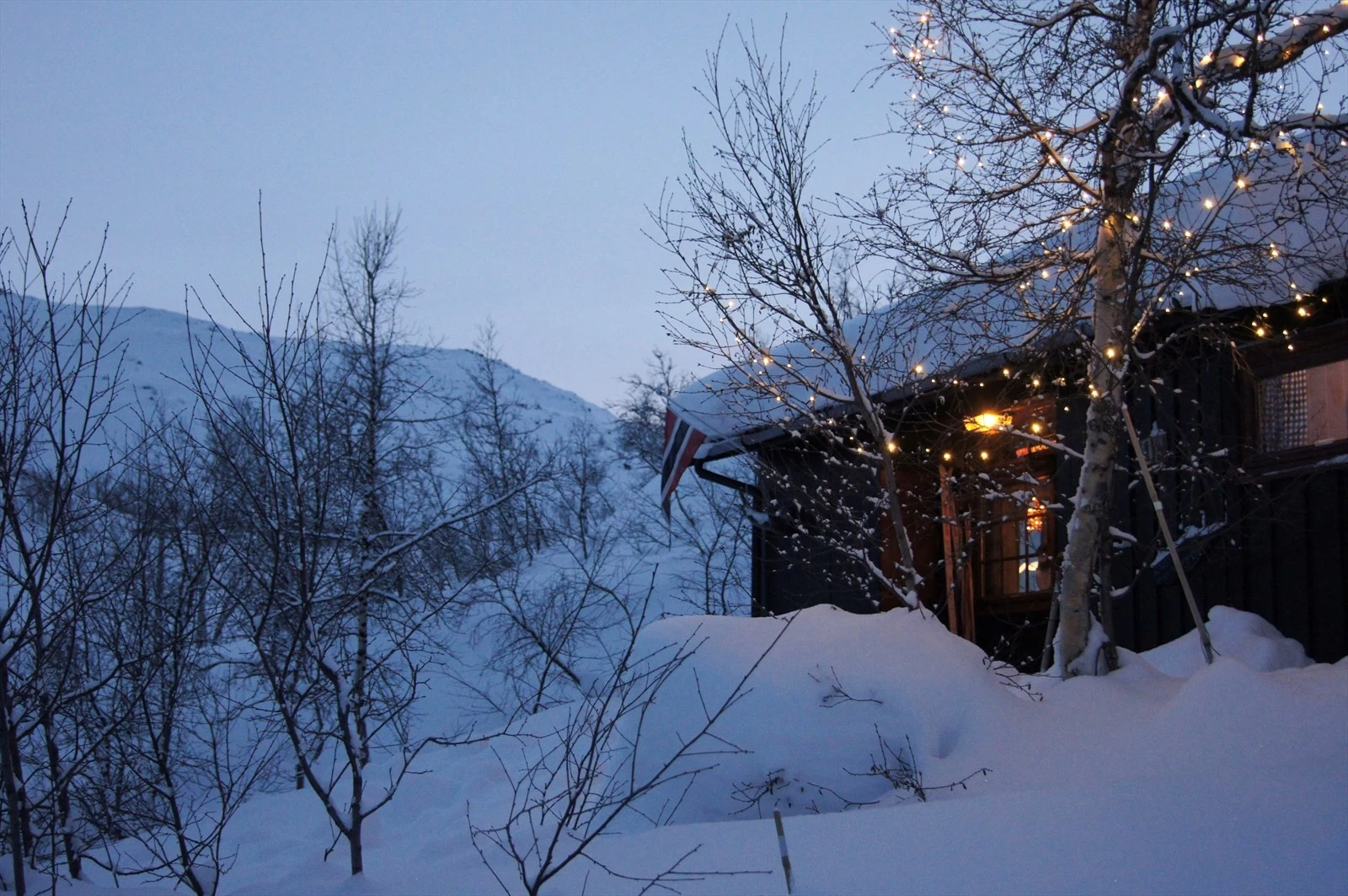 Vinter - selgers foto Galleribilde