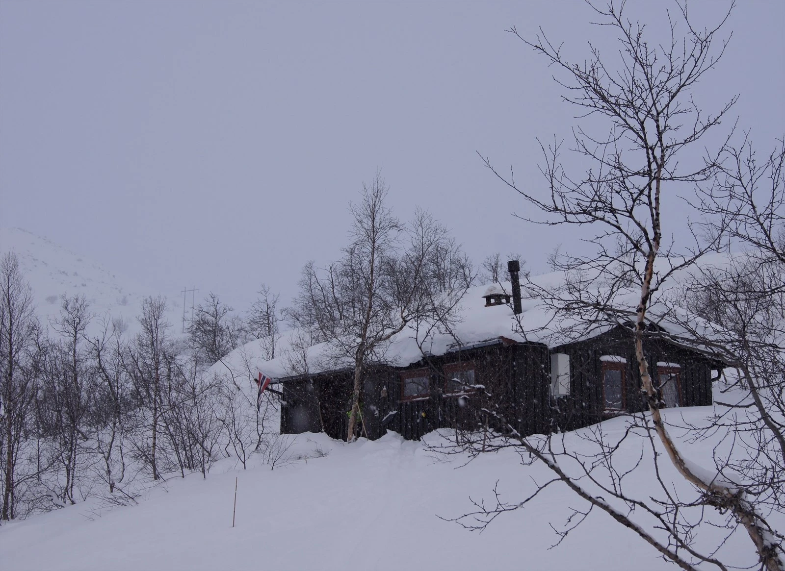 Vinter - selgers foto Galleribilde