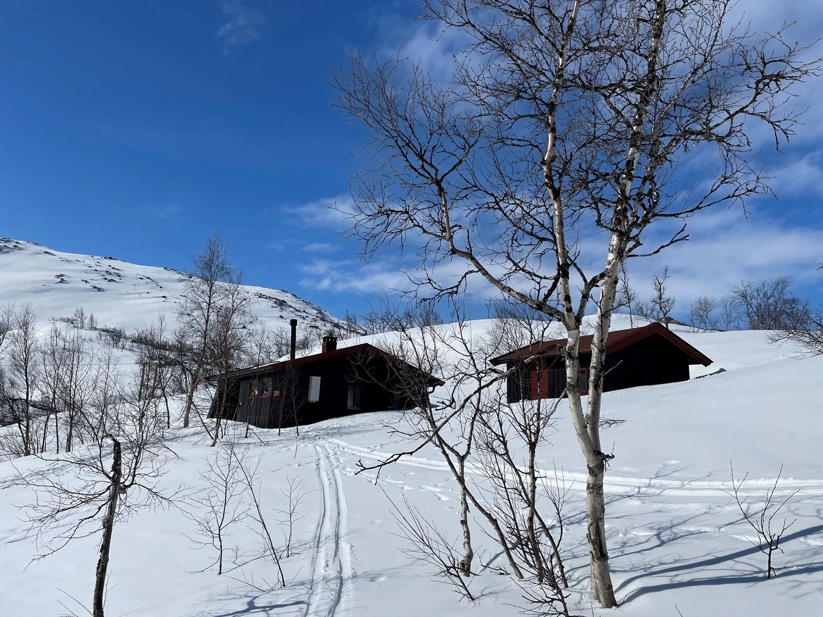 Selgers foto Galleribilde