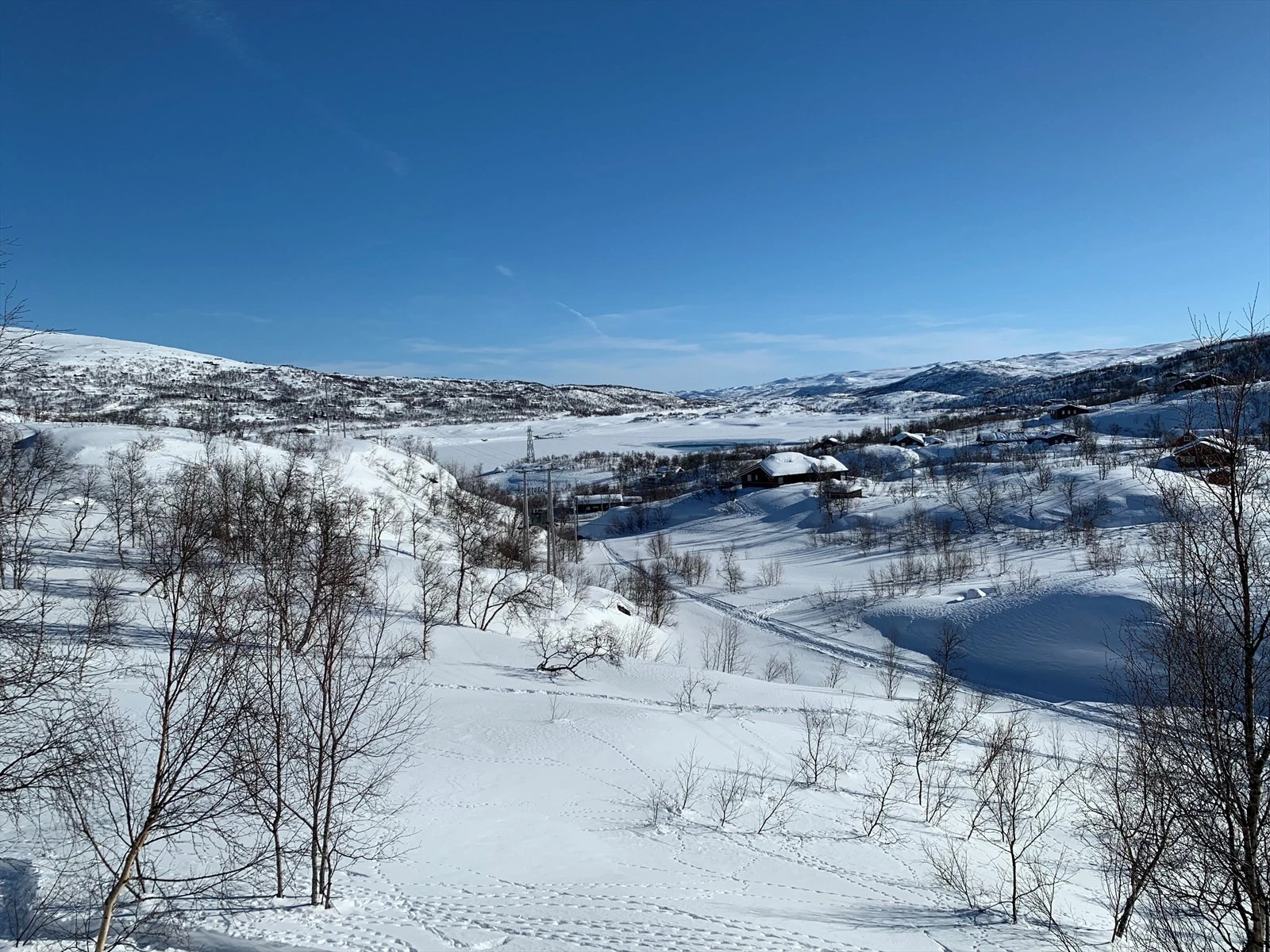 Selgers foto Galleribilde